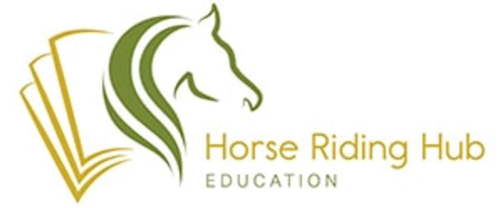Horse Riding Hub - Beginner Horse Rider Education Specialist