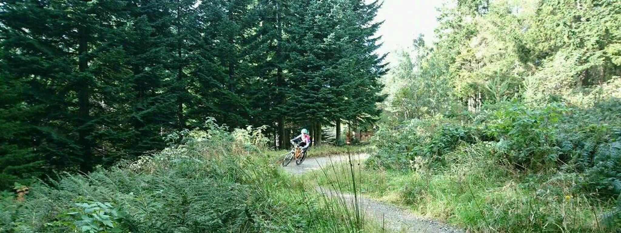 Night Riding MTB and Cyclocross