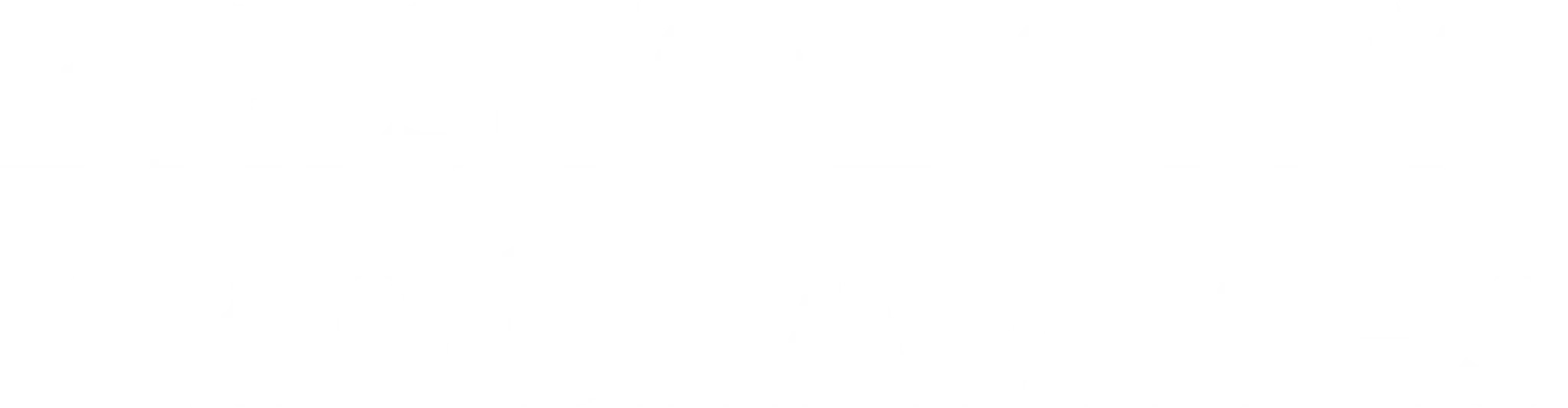 Bristol City Programmes