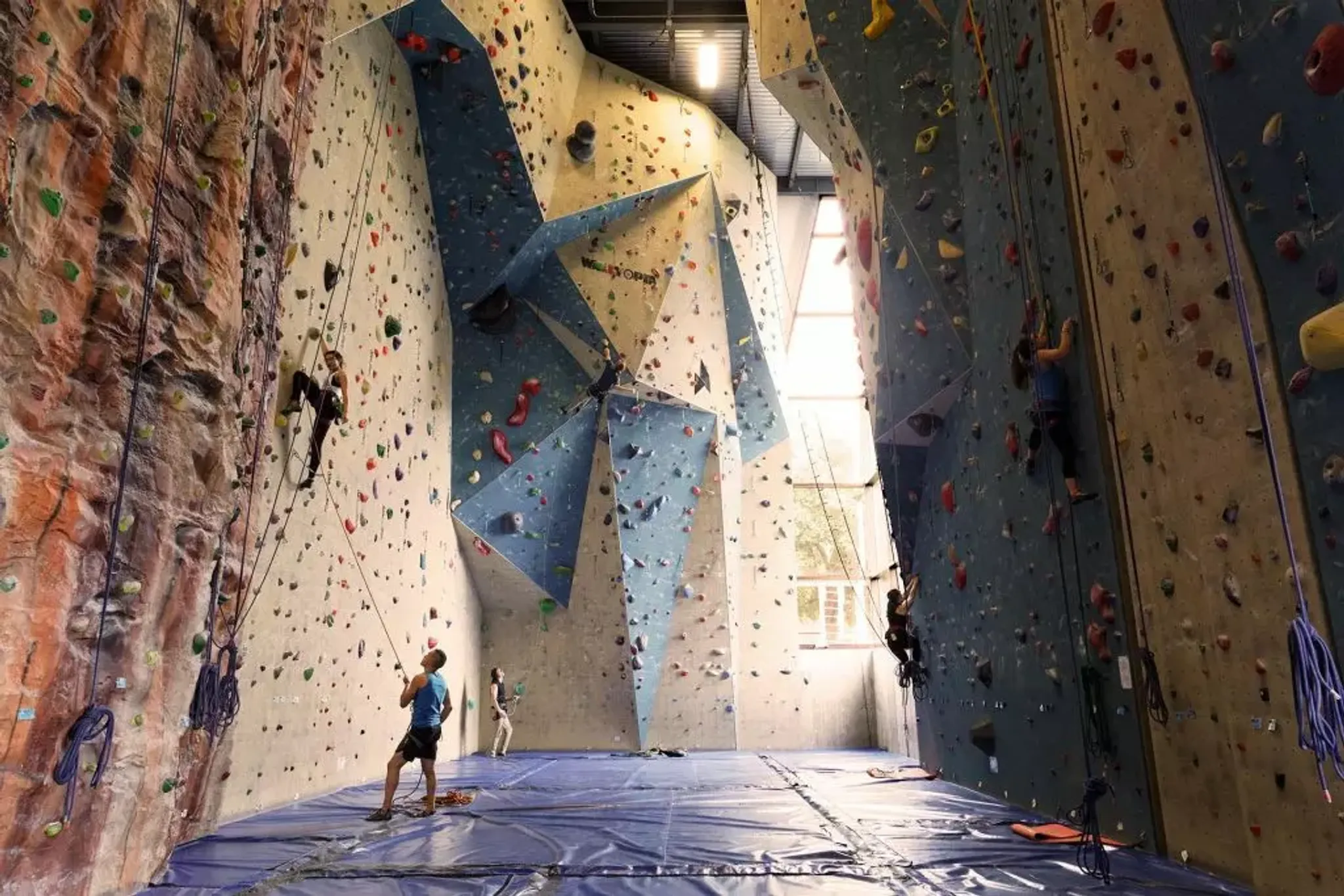 Camp Altitude Gym Summer Camp