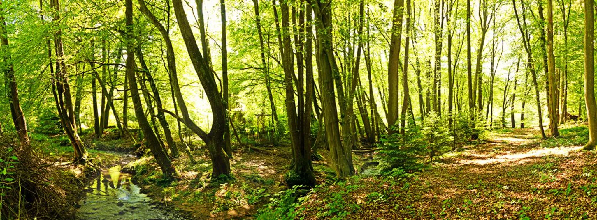 Yin Yoga by the Sea with Norman Blair