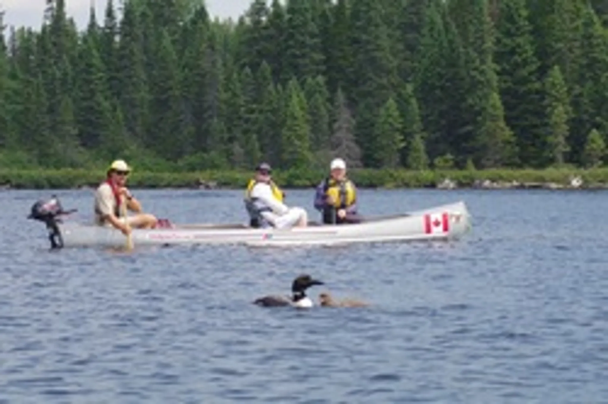 Algonquin Park Adventure Tours