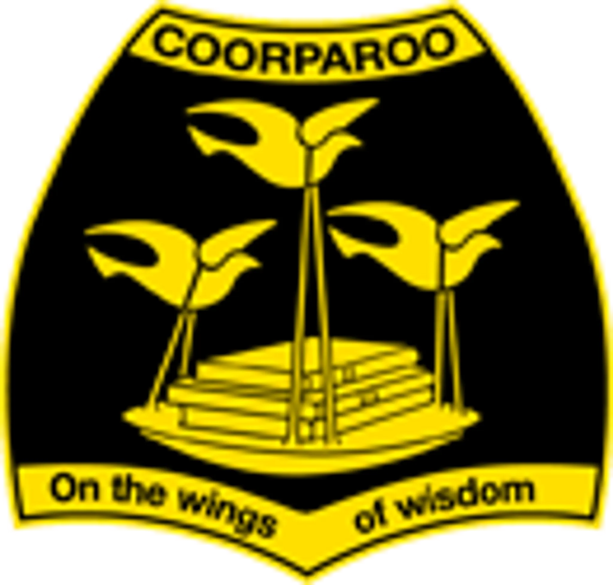 Tennis For Kids Coorparoo - Tennis Lessons & Coaching