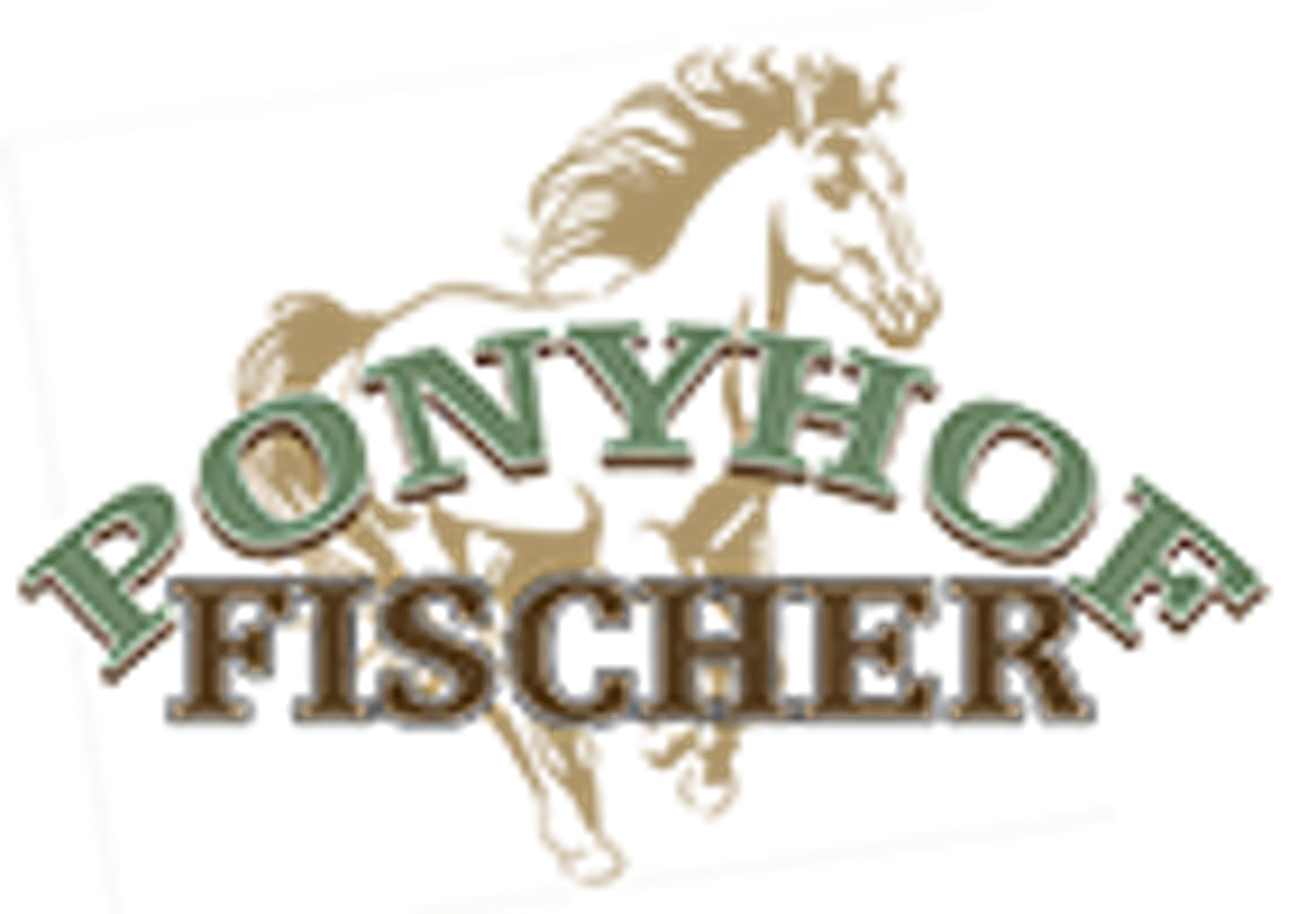 Ponyhof Fischer Sieglinde Merath