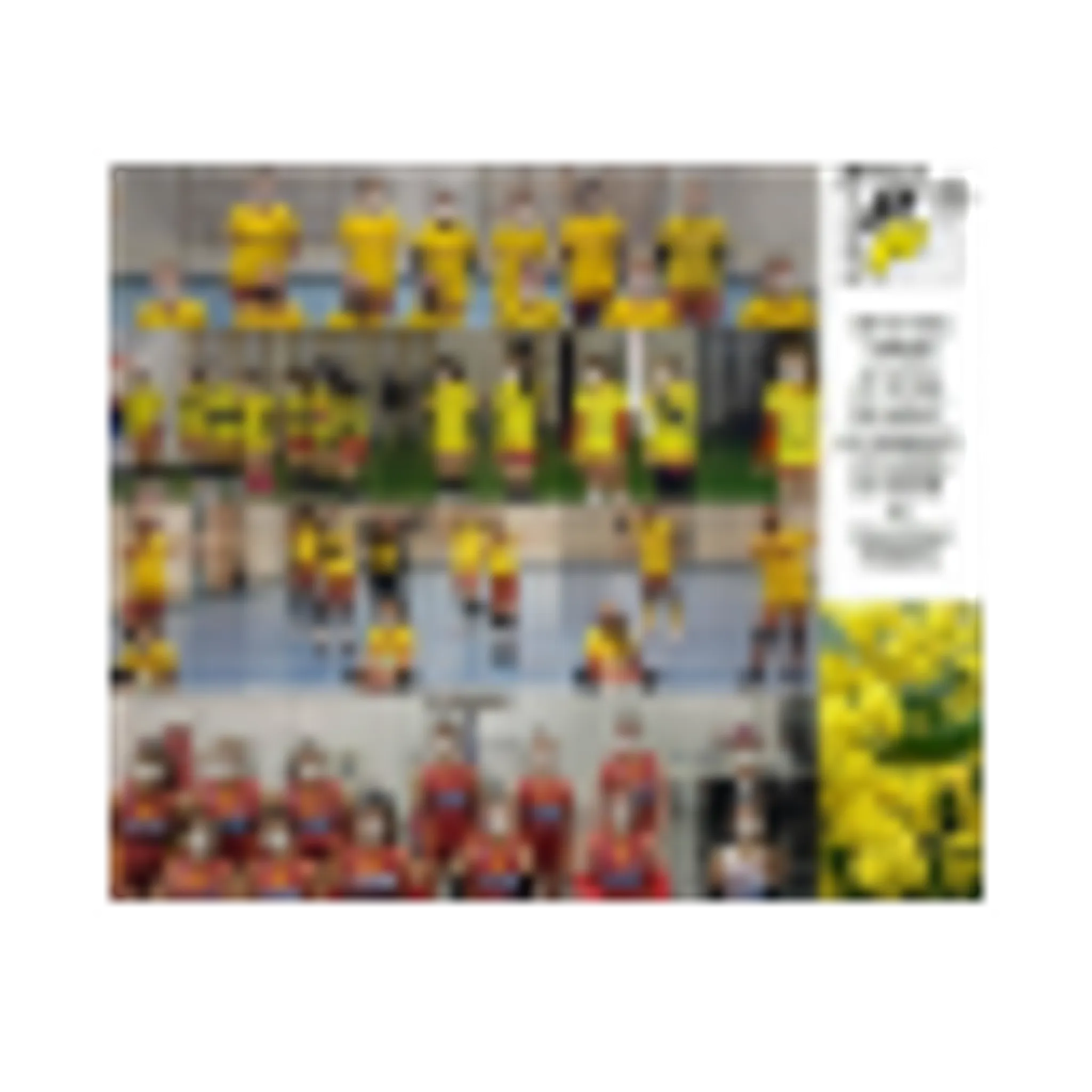 Pallavolo Pomezia