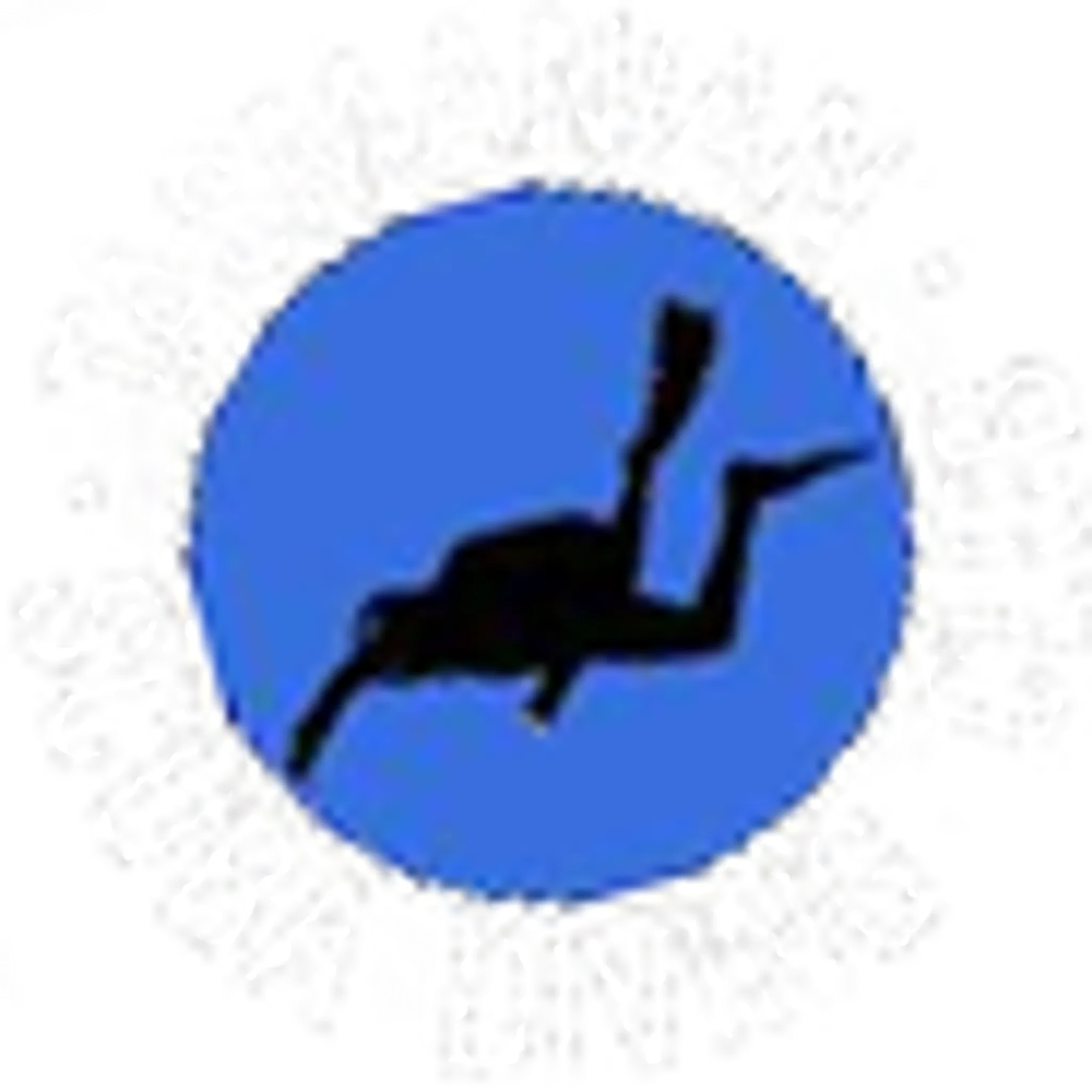 Tasmanian Scuba Diving Club