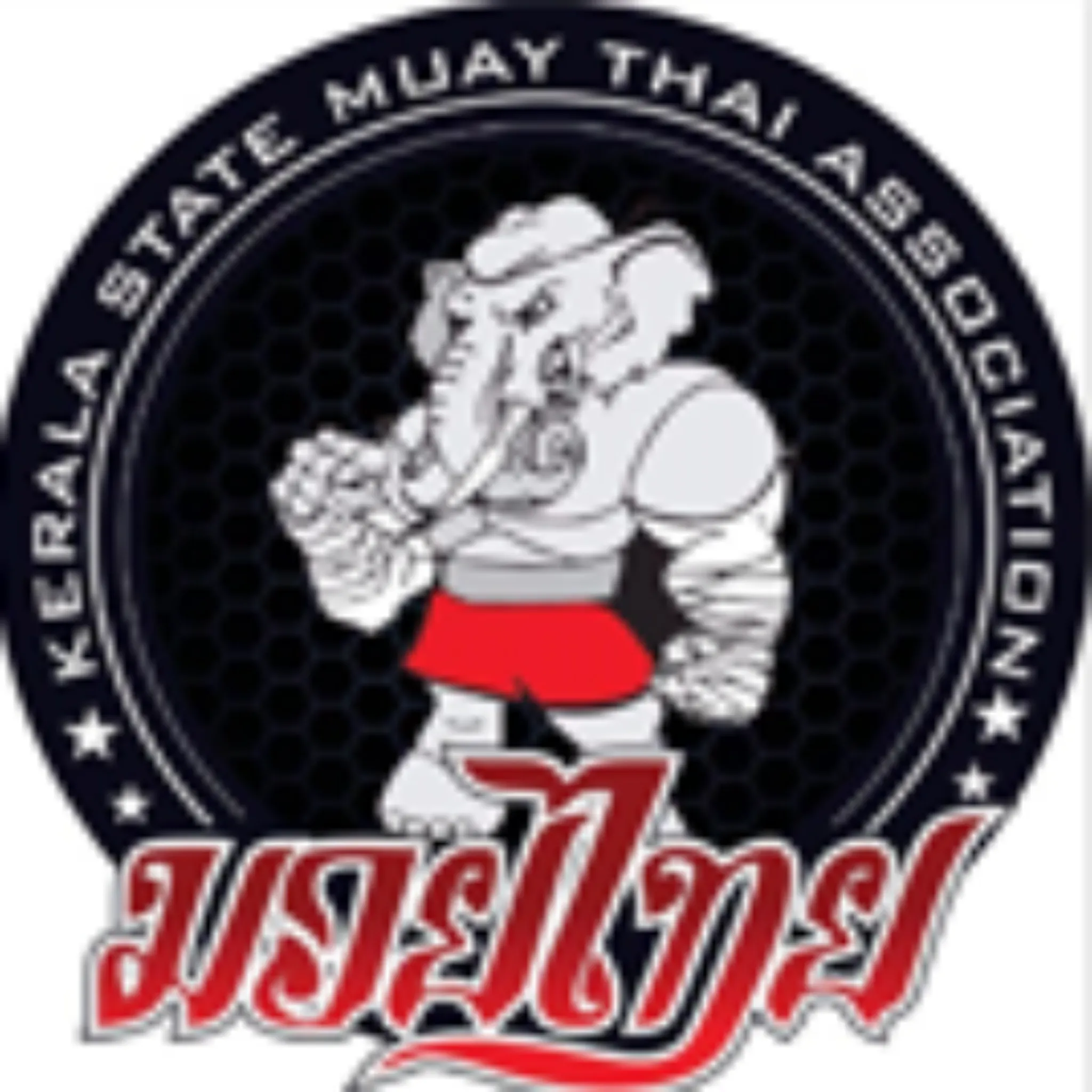 Muay Thai Kerala