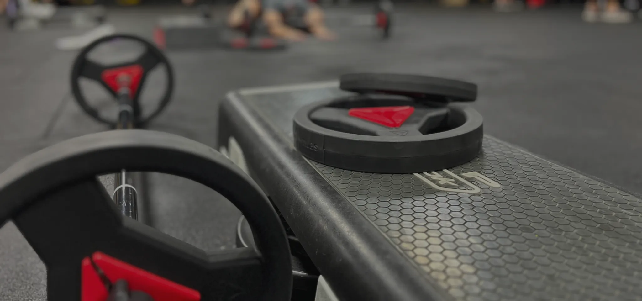 Profiles 1.0 | 24 Hour Gym