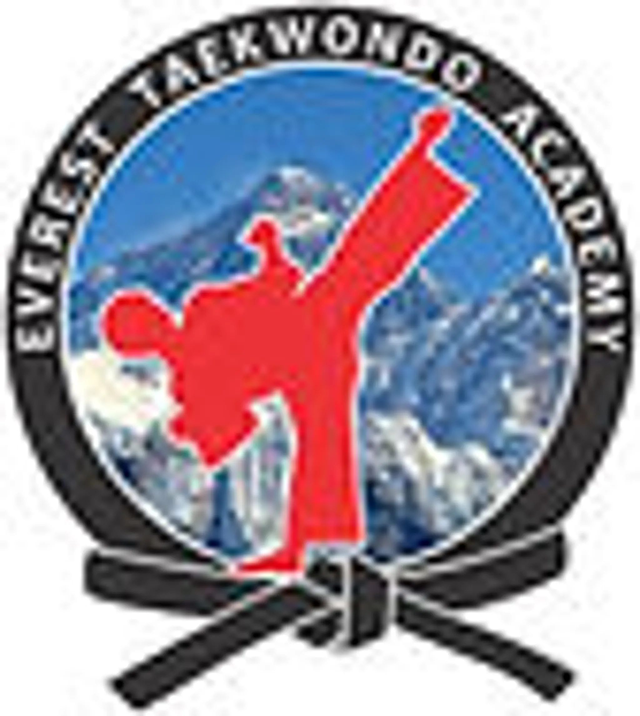 Everest Taekwondo Mississauga