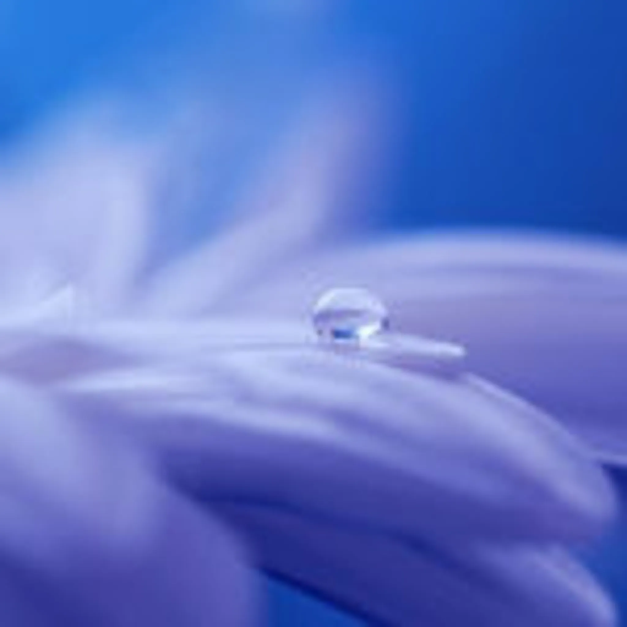 Lindy Jones Qualified Yoga Teacher