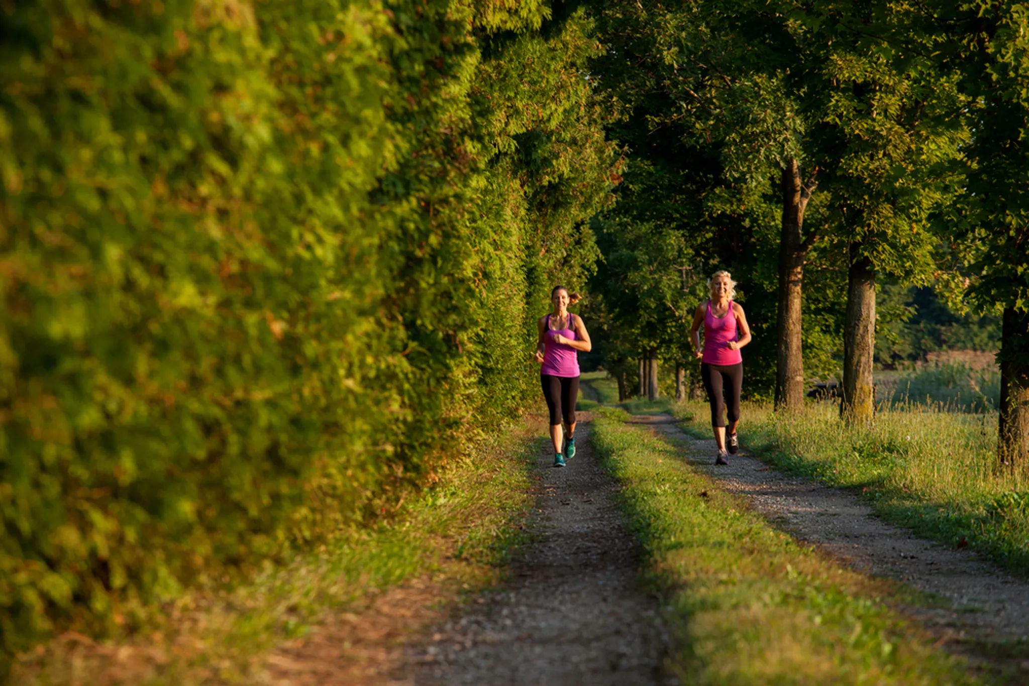 Bod Squad Fitness Team