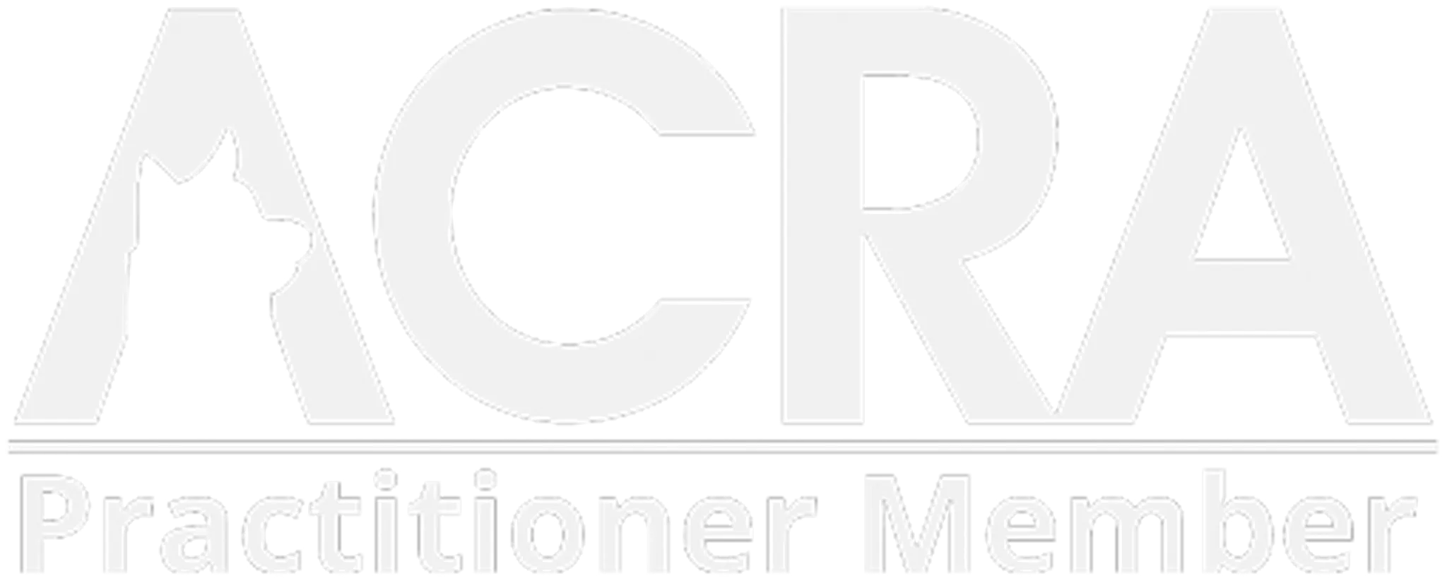 K9 Swim Hydrotherapy & Wellness Centre