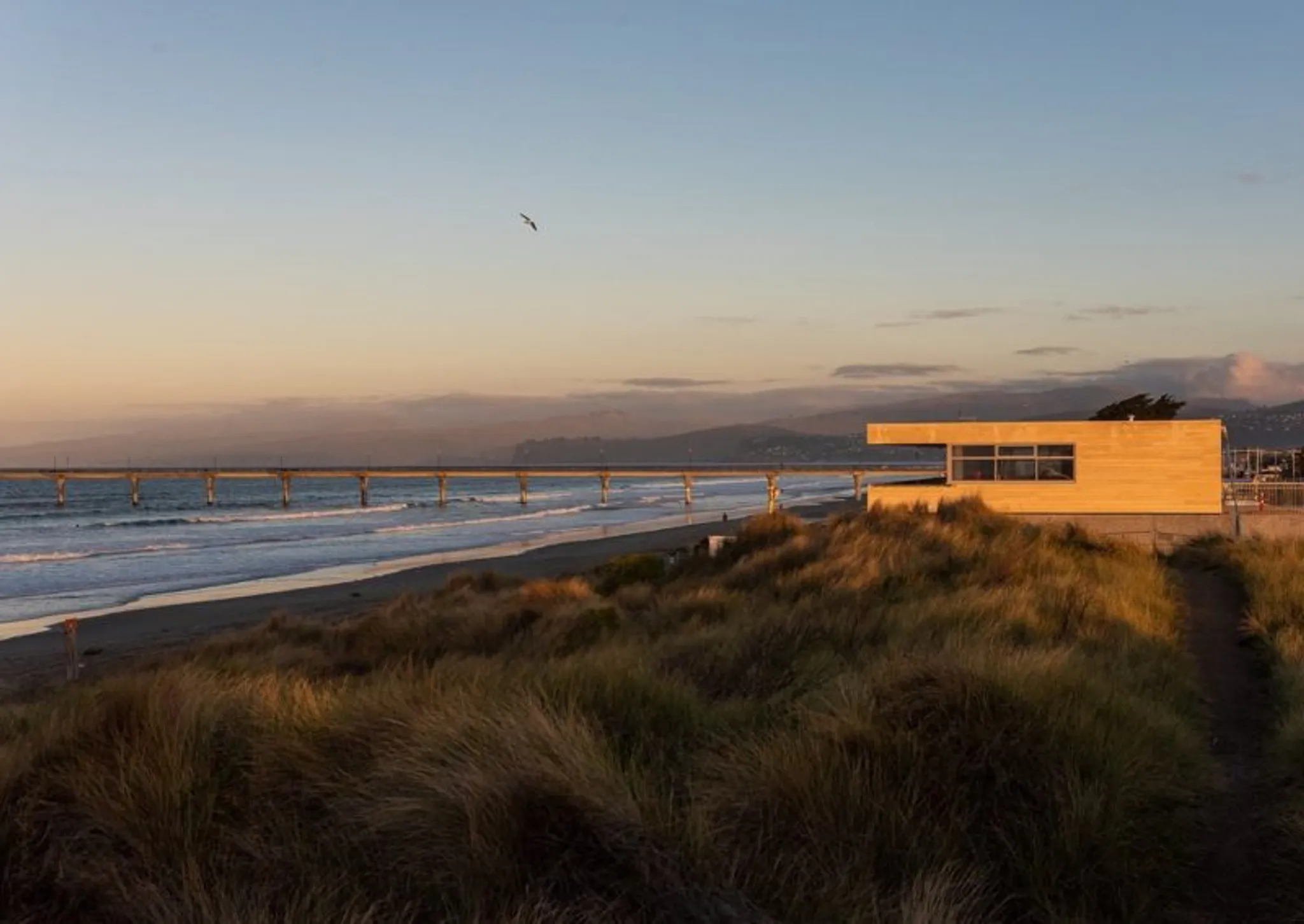 Junior Surf at New Brighton Surf Life Saving Club