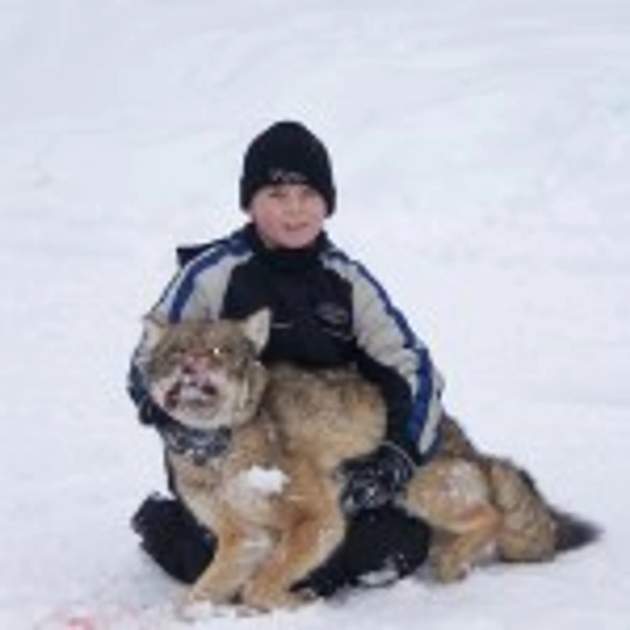 Dead Bear Walking Outfitters Inc.