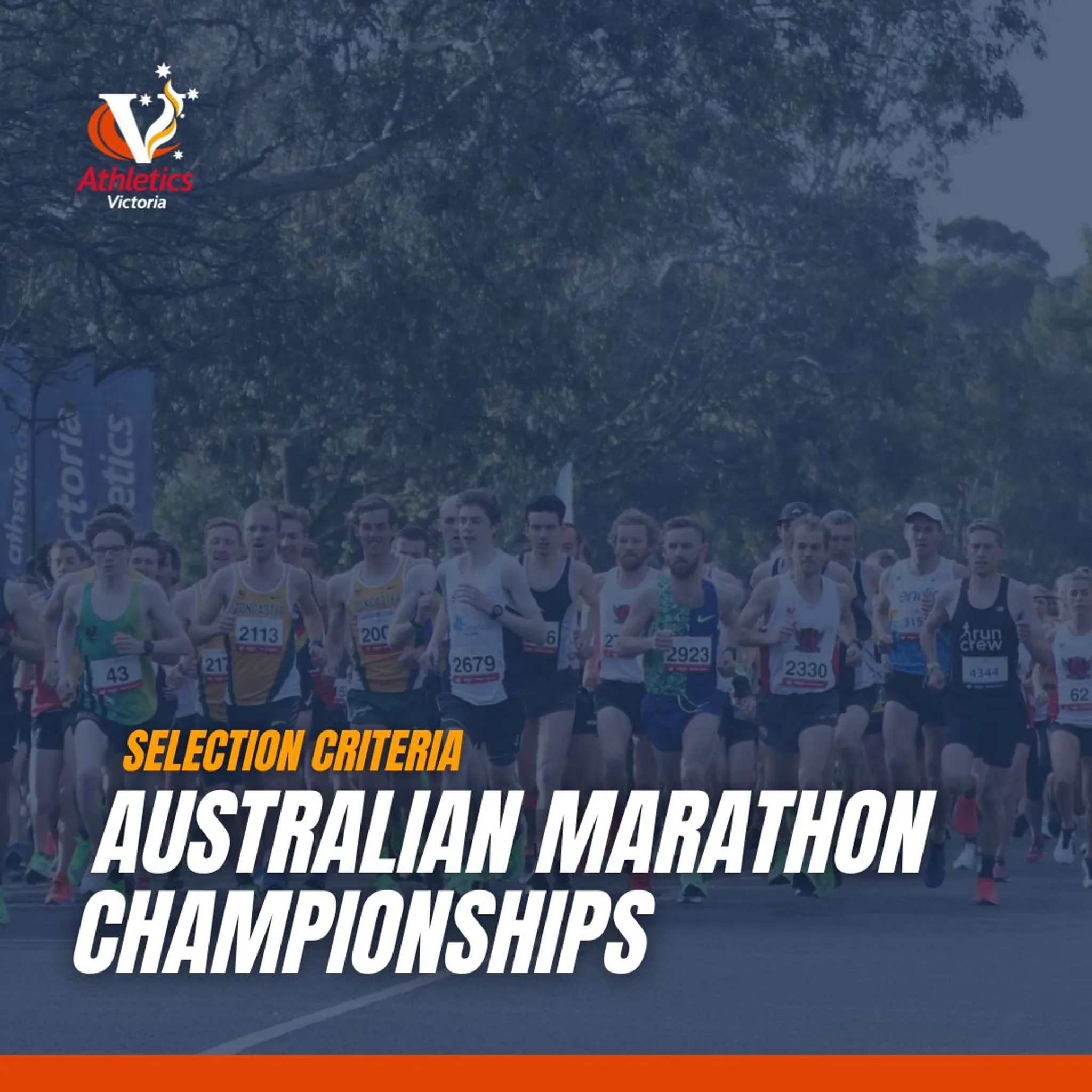 St Anne’s Bendigo 8km