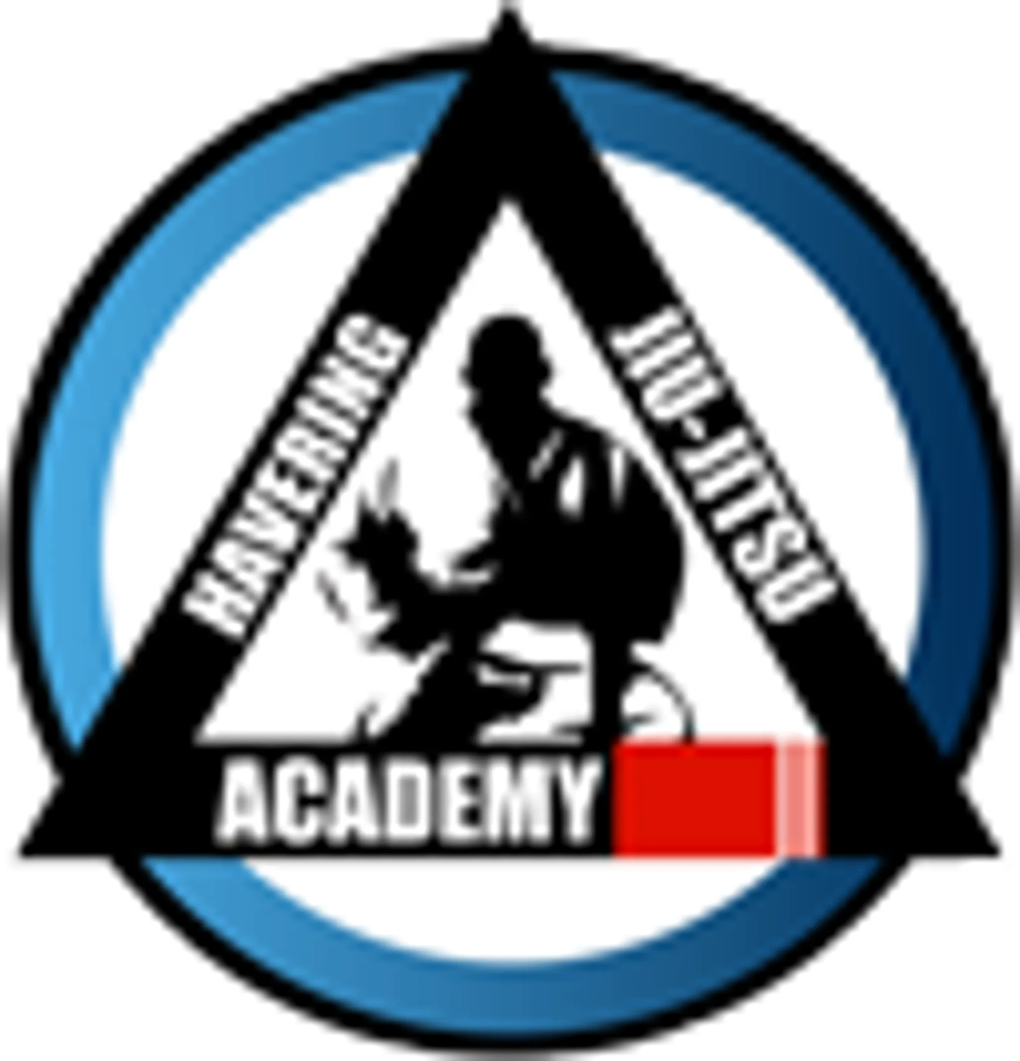 Havering Jiu Jitsu Academy