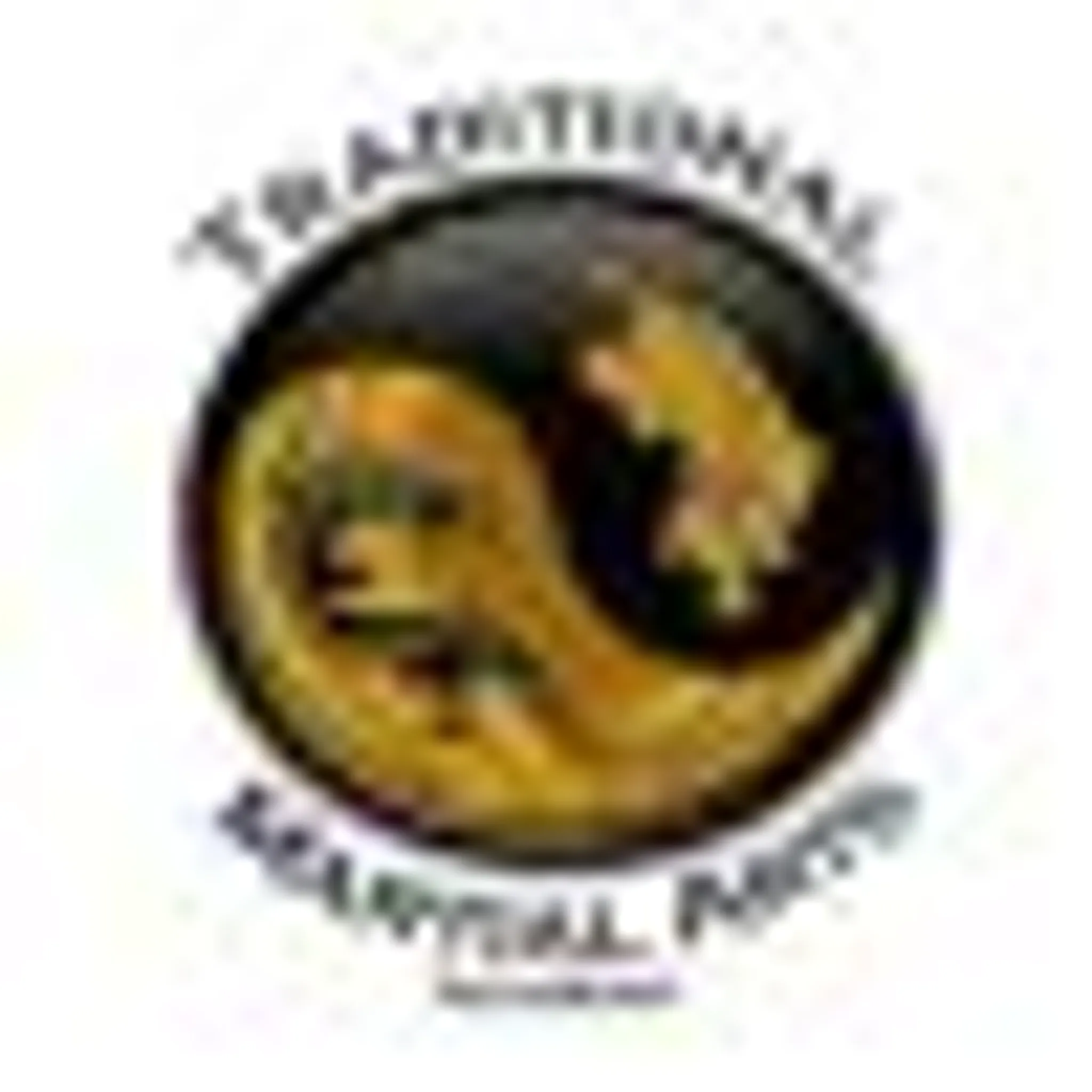 Traditional Martial Arts