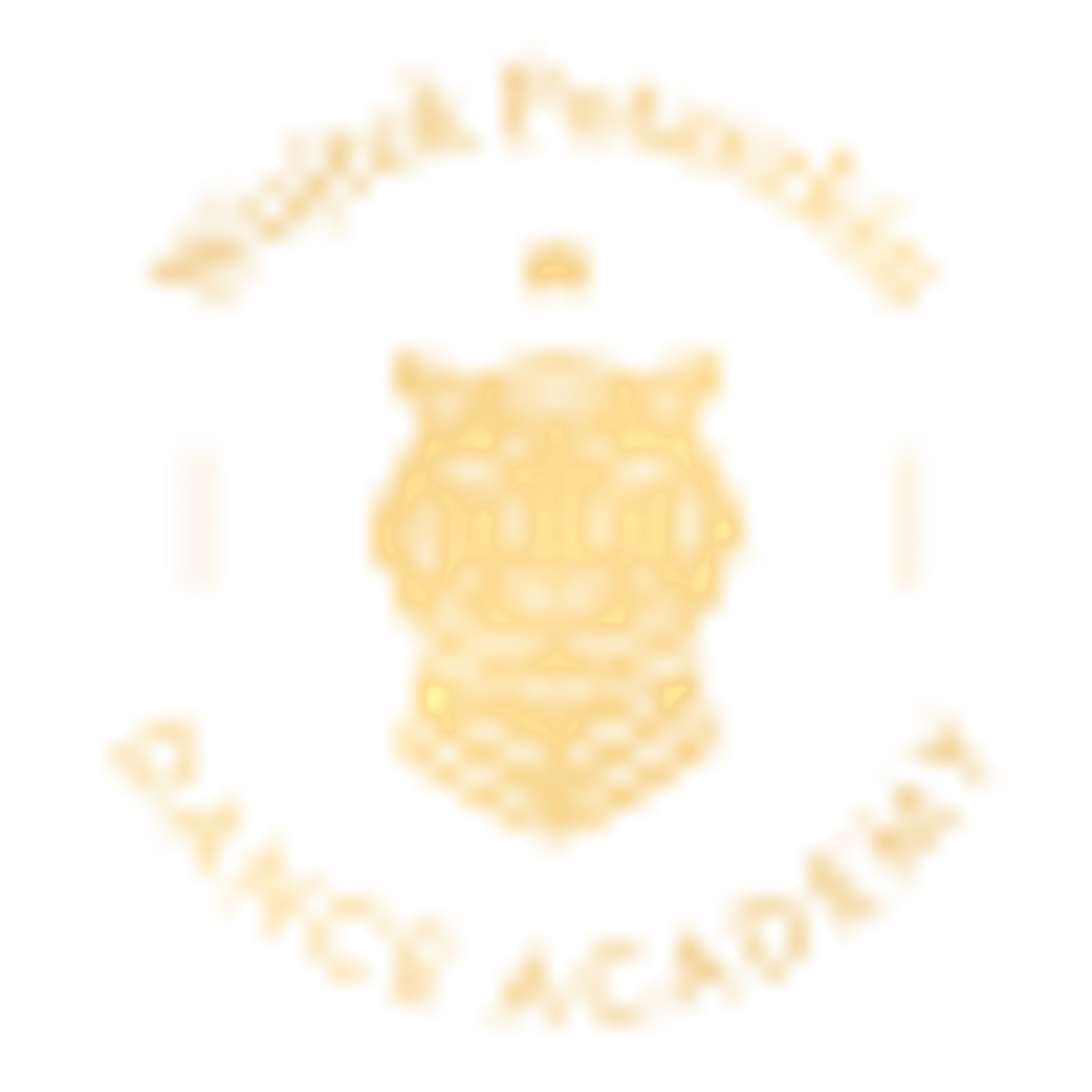 Wojtek Potaszkin Dance Academy