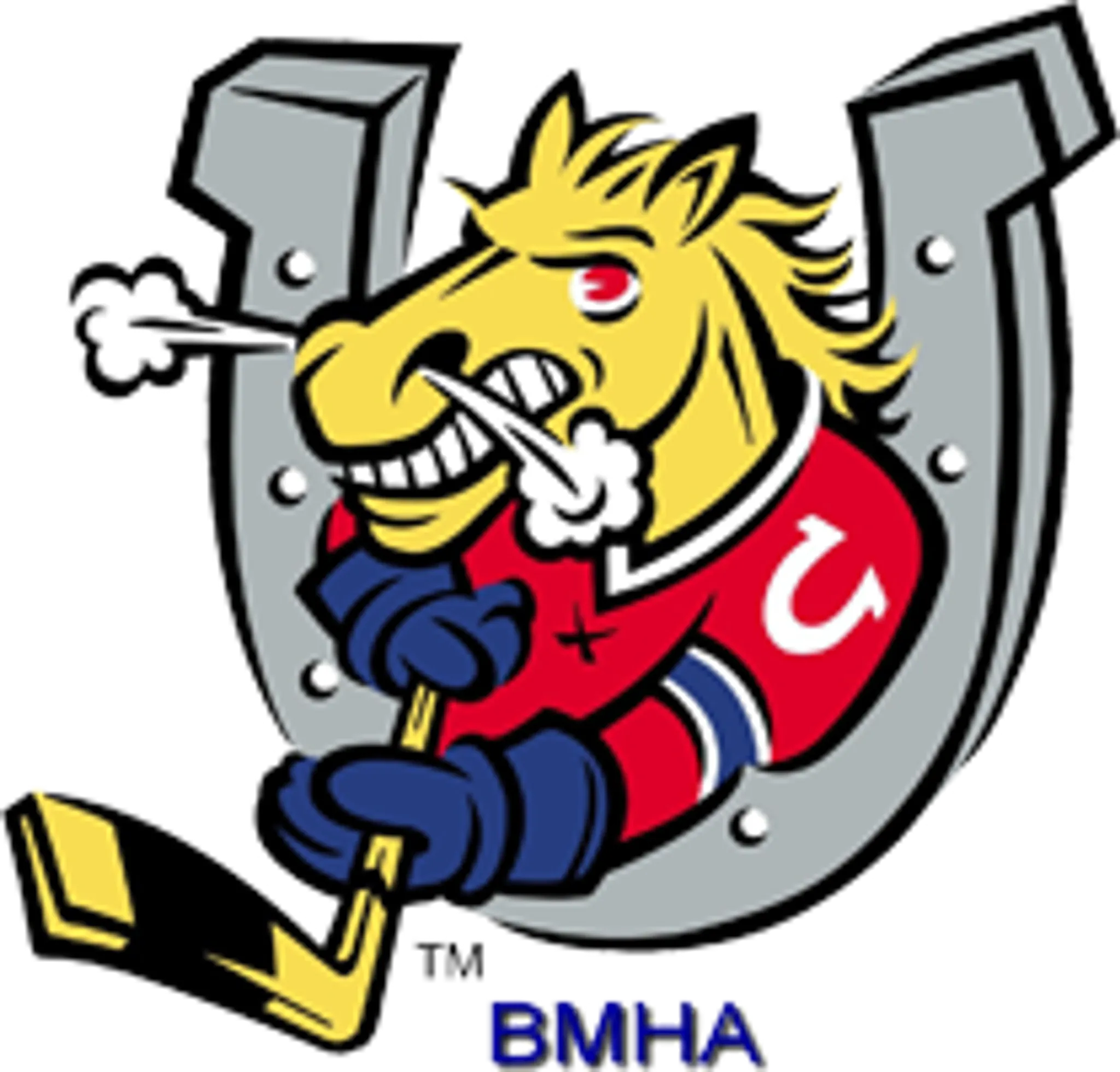 Barrie Minor Hockey Association