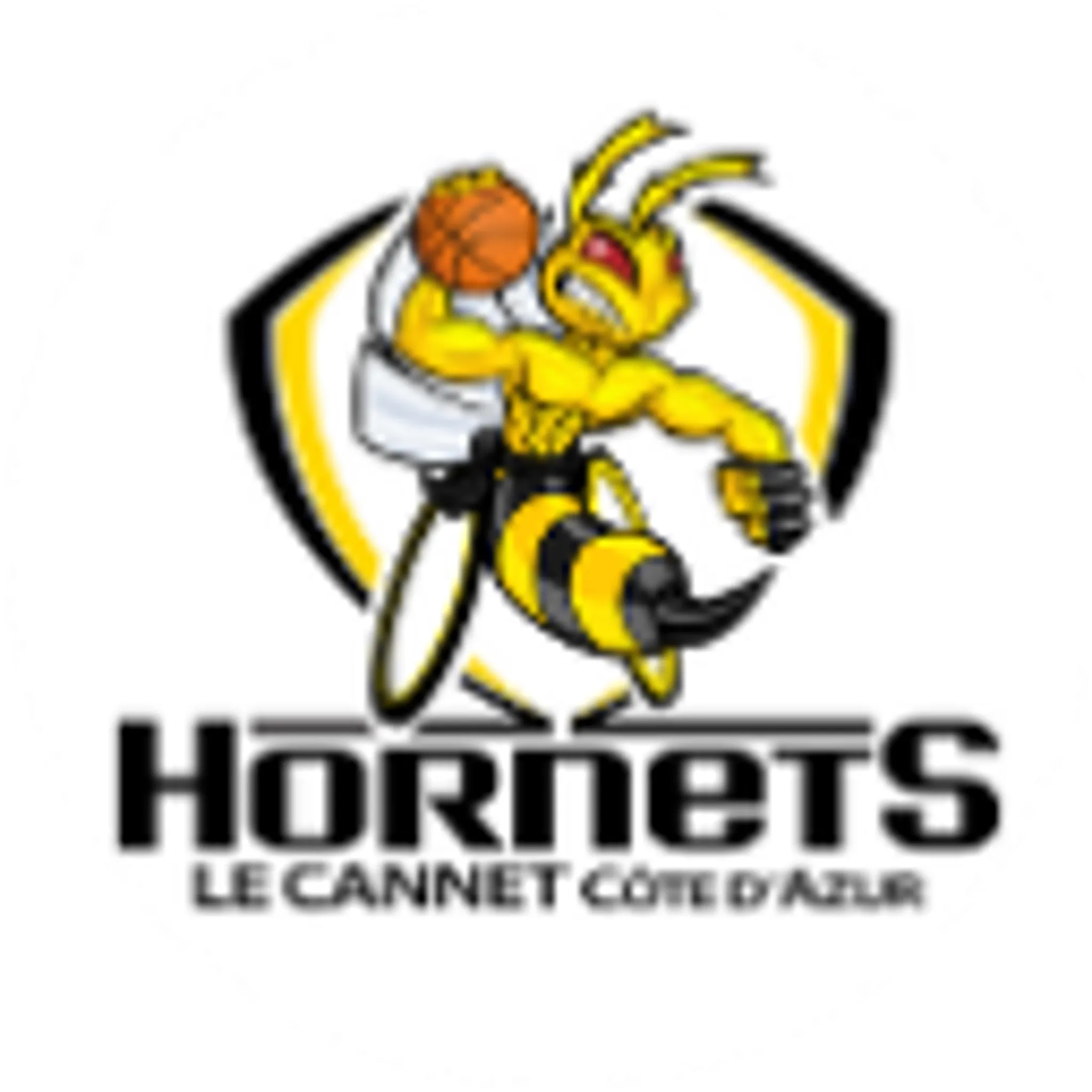 Hornets Handibasket Le Cannet Côte d'Azur