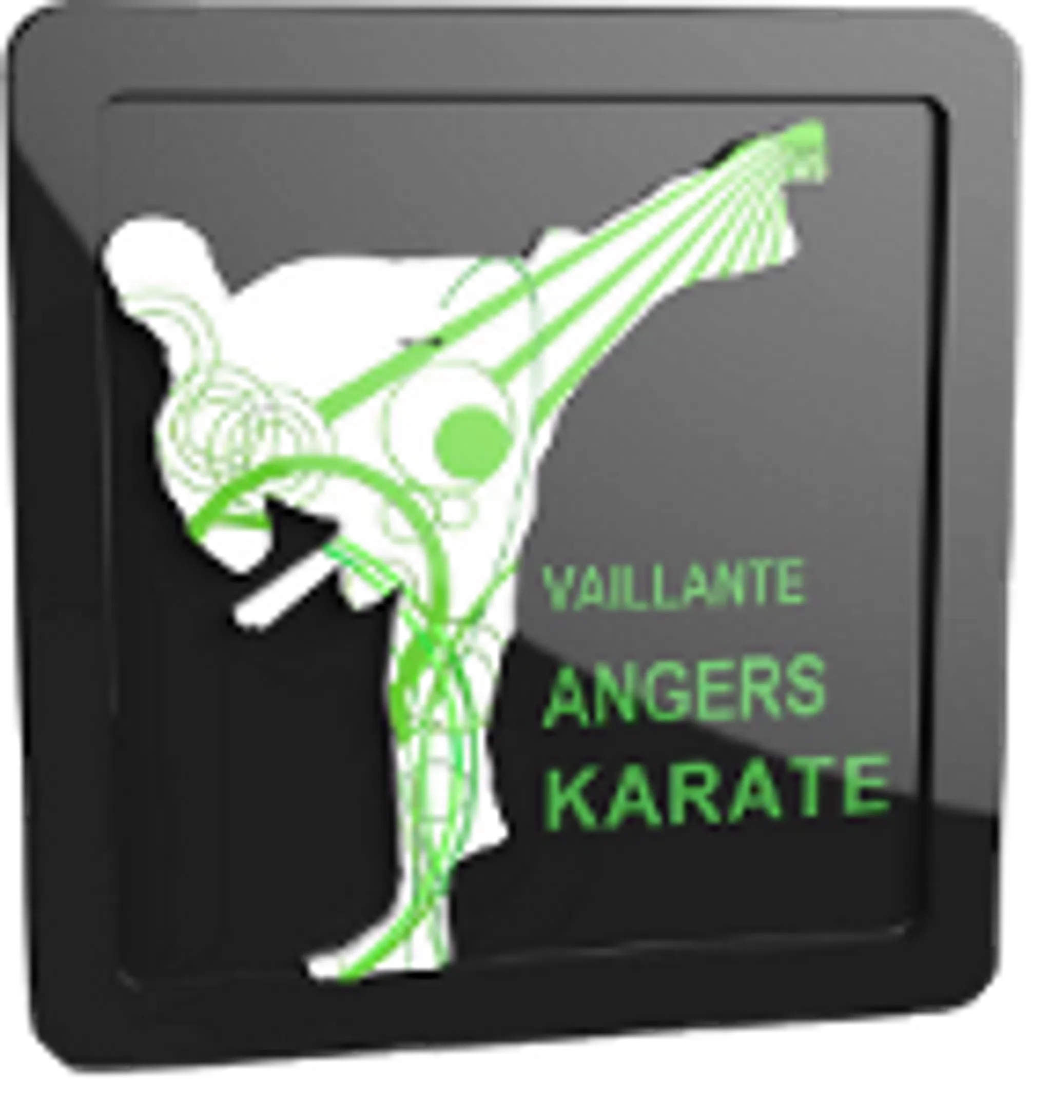 Vaillante Angers Karate