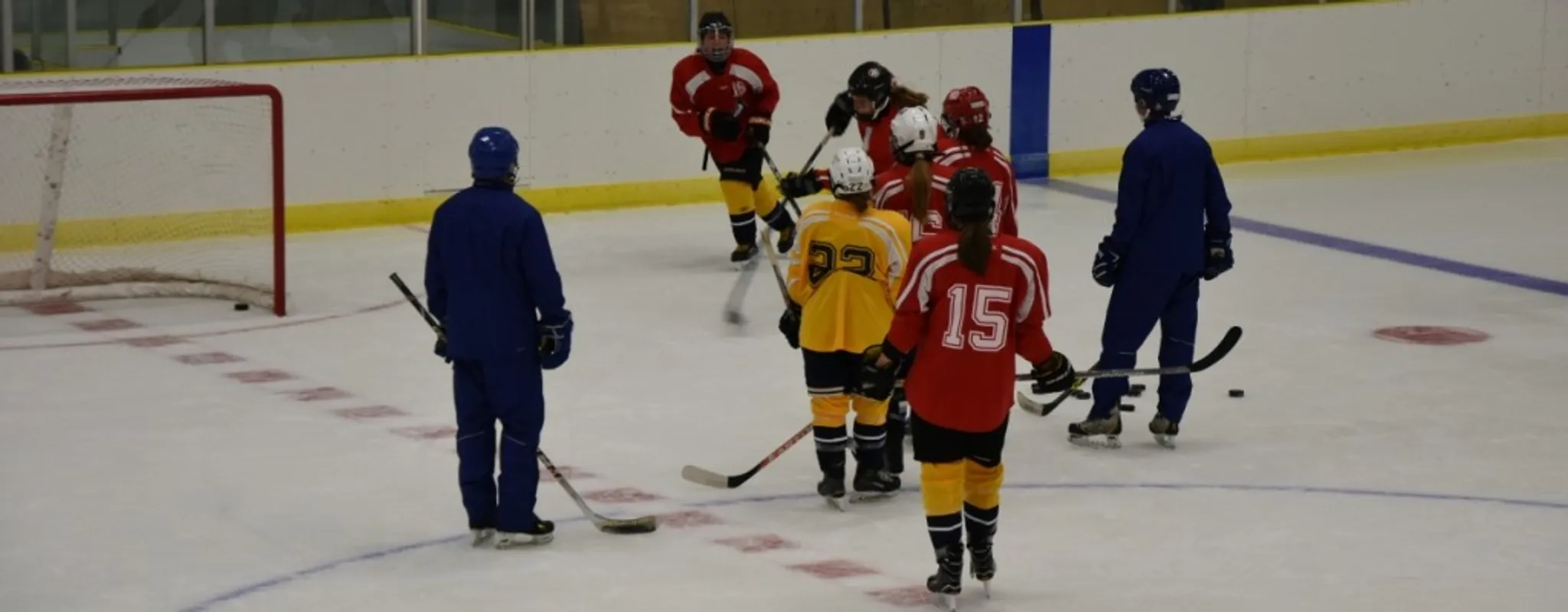 Lethbridge Summer Goalie Camp