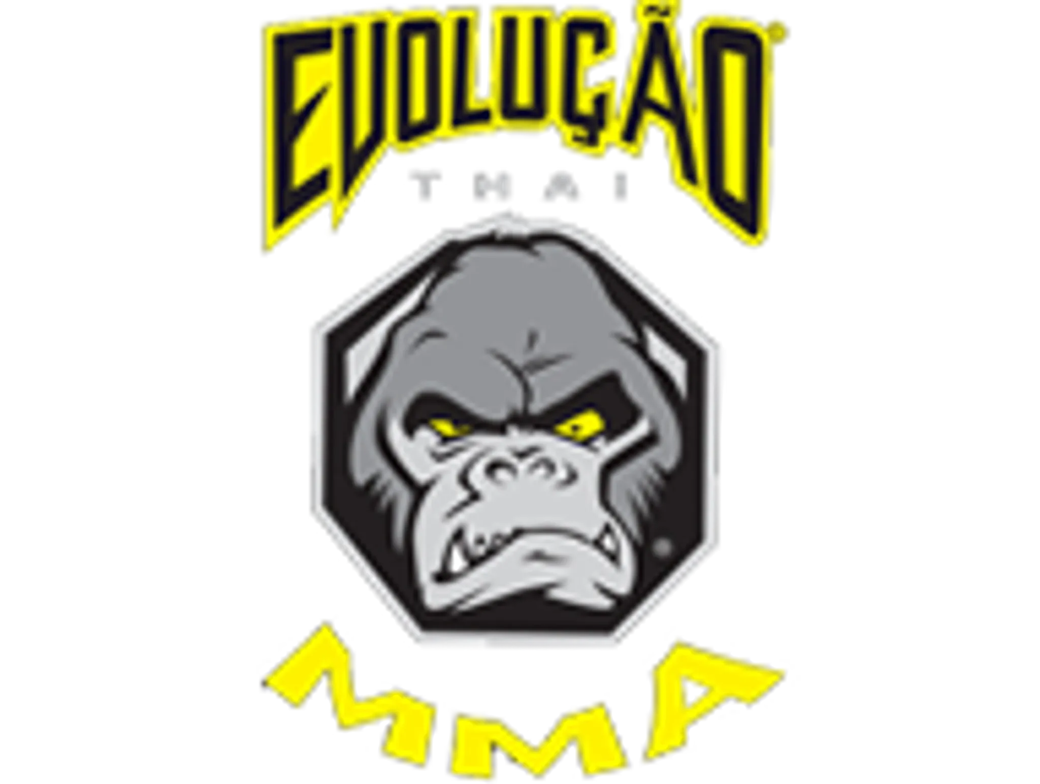 Evolucao Thai MMA School