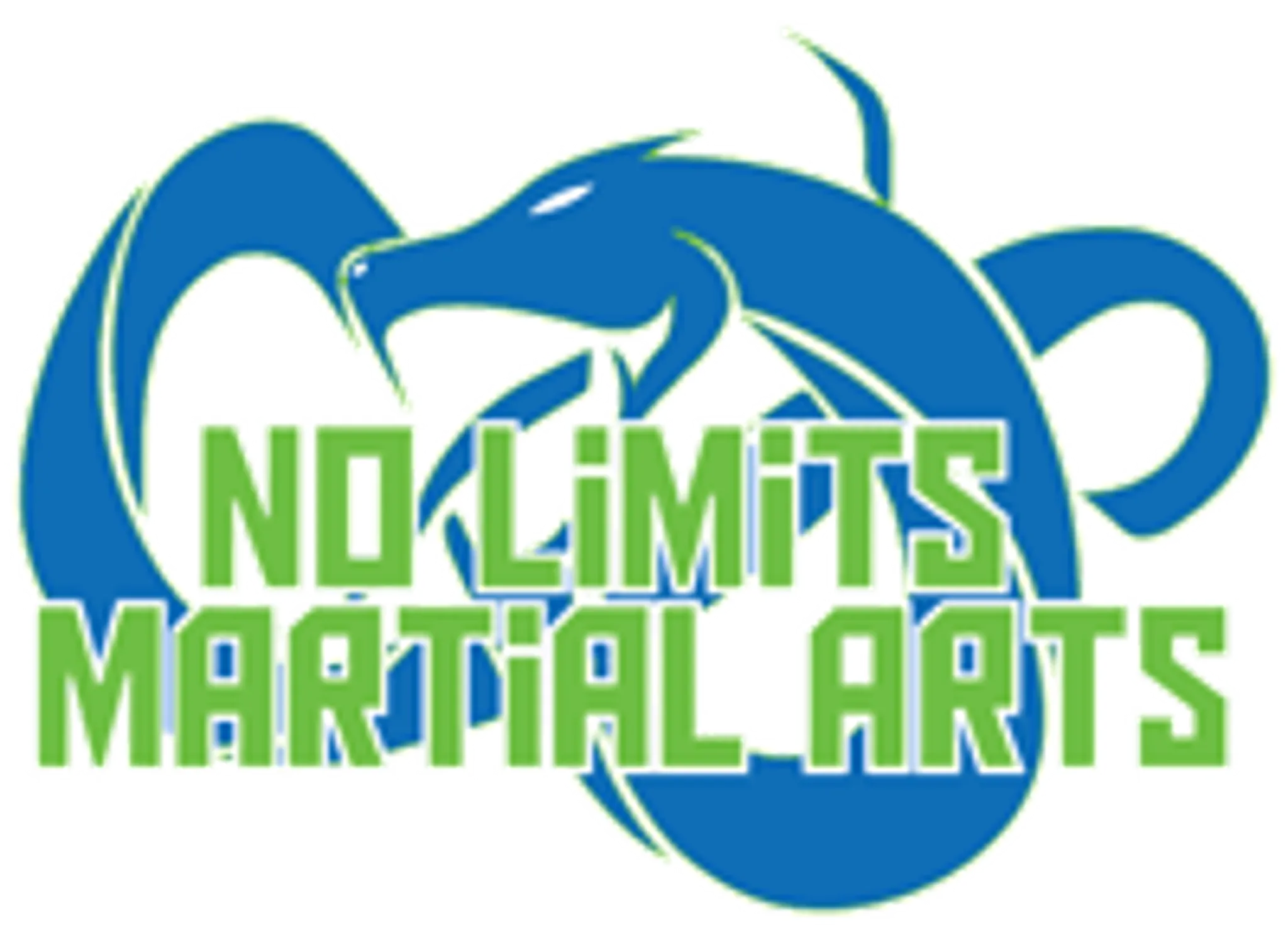 No Limits Martial Arts Oakville