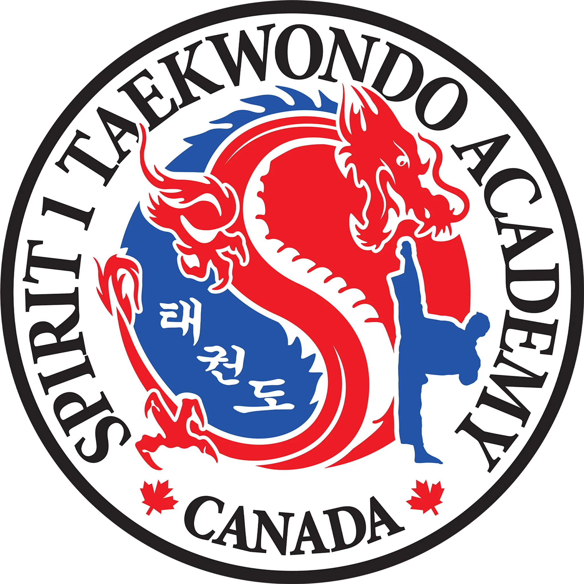 Spirit 1 Taekwondo Academy