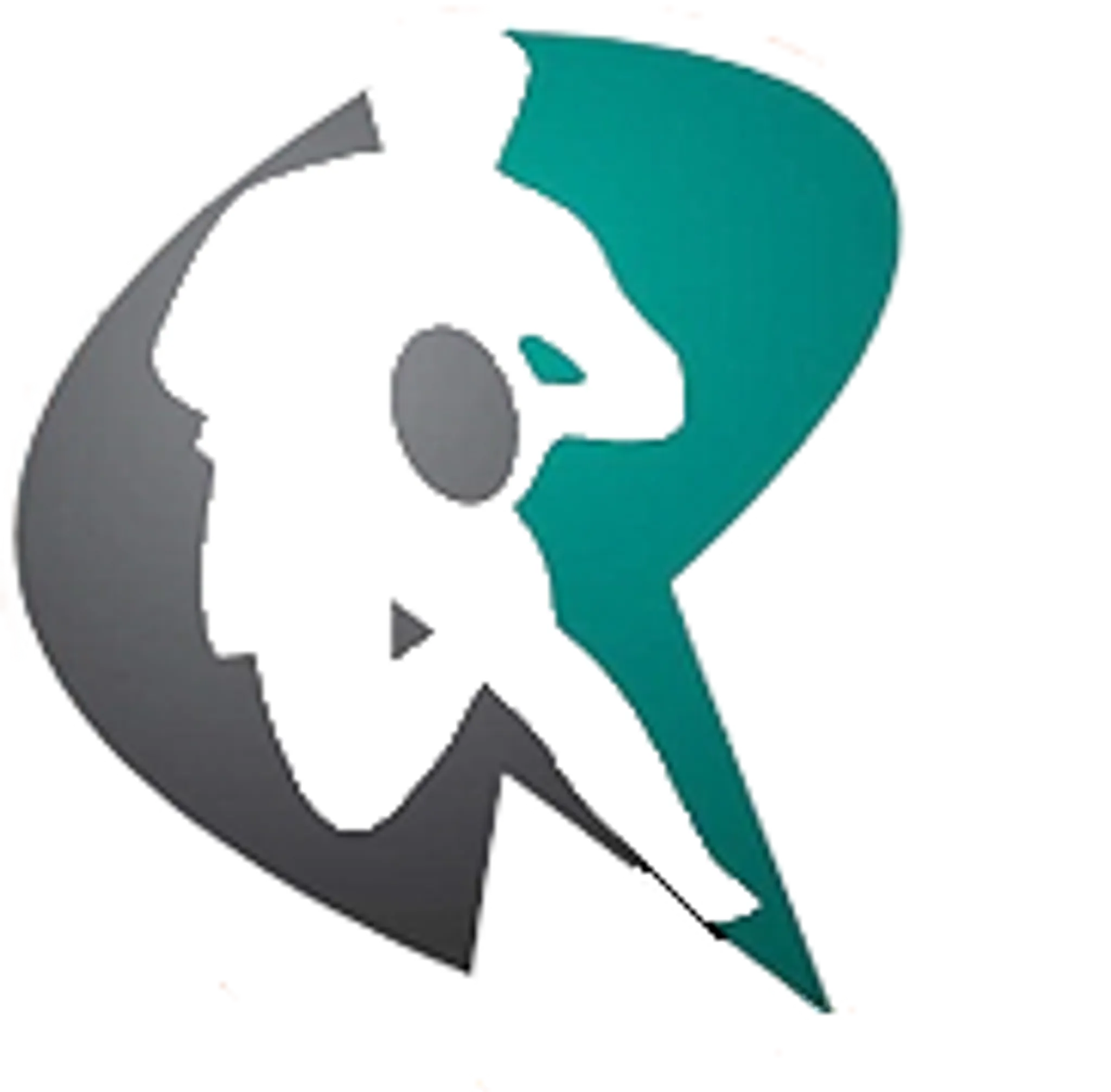 Raipur Basketball Academy