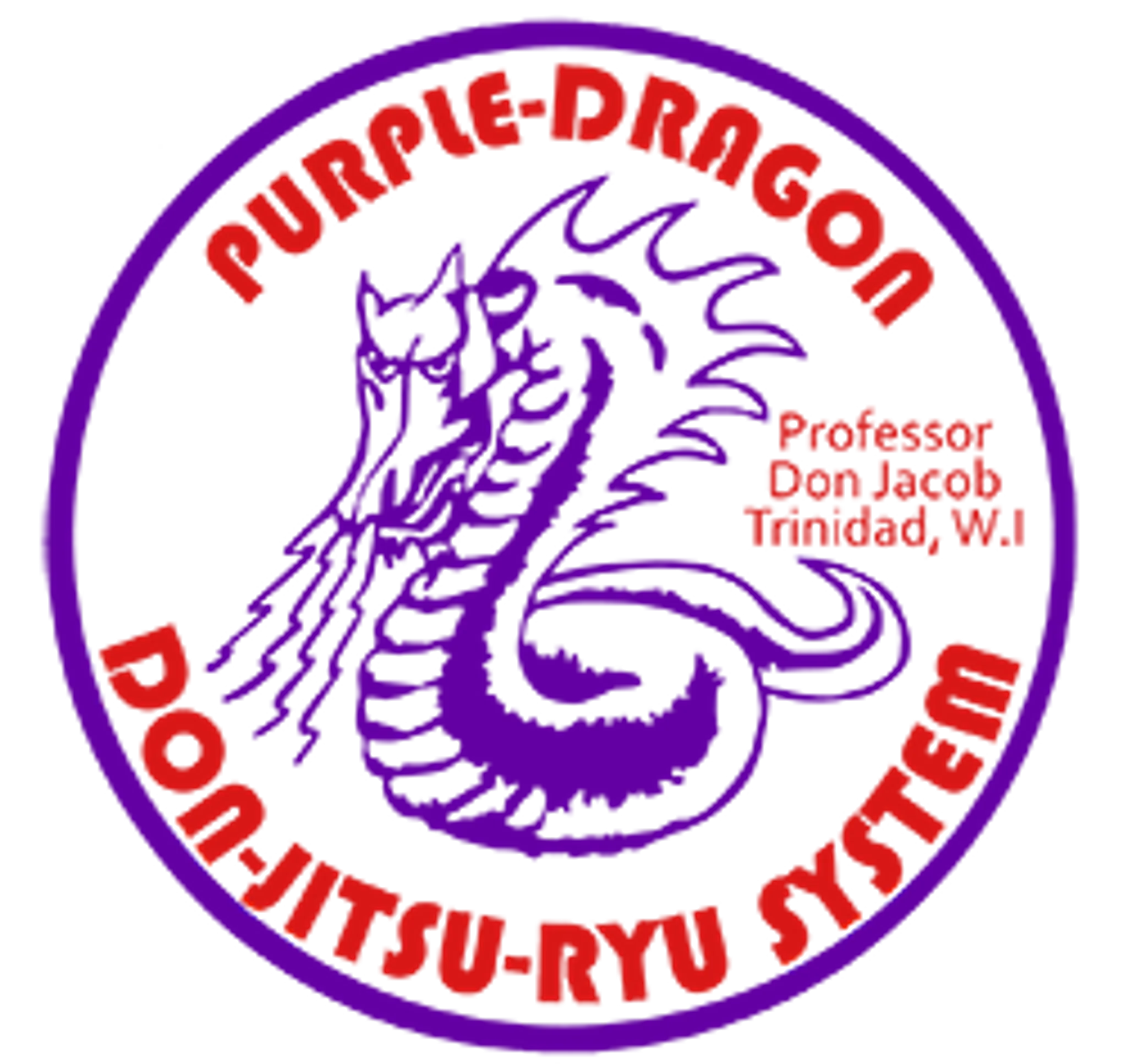 Purple Dragon Kitsilano Martial Arts