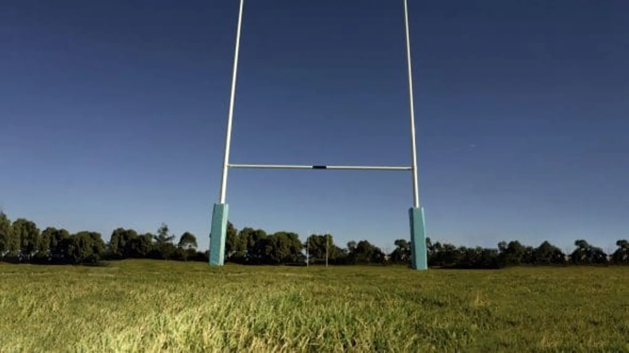 Fernielea P4-5 Rugby Taster