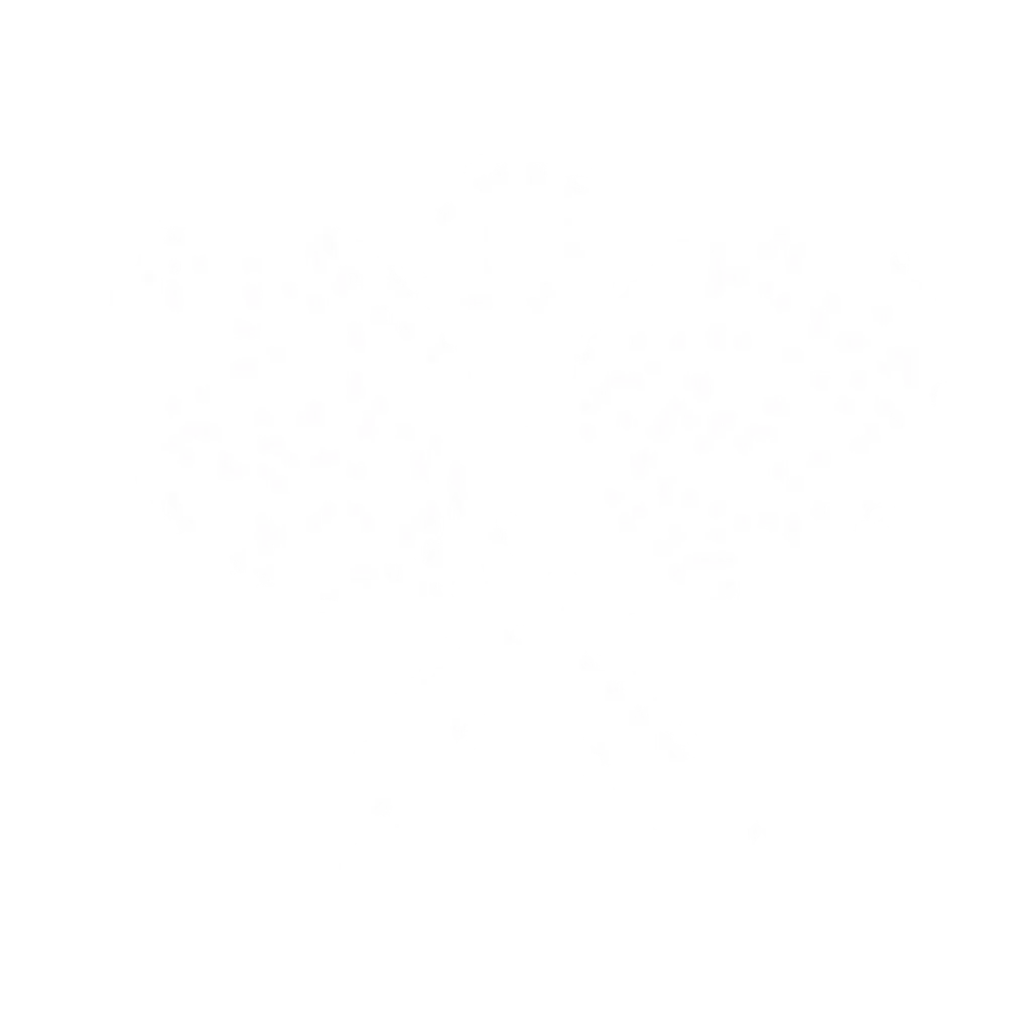 Collaroy Tennis Club