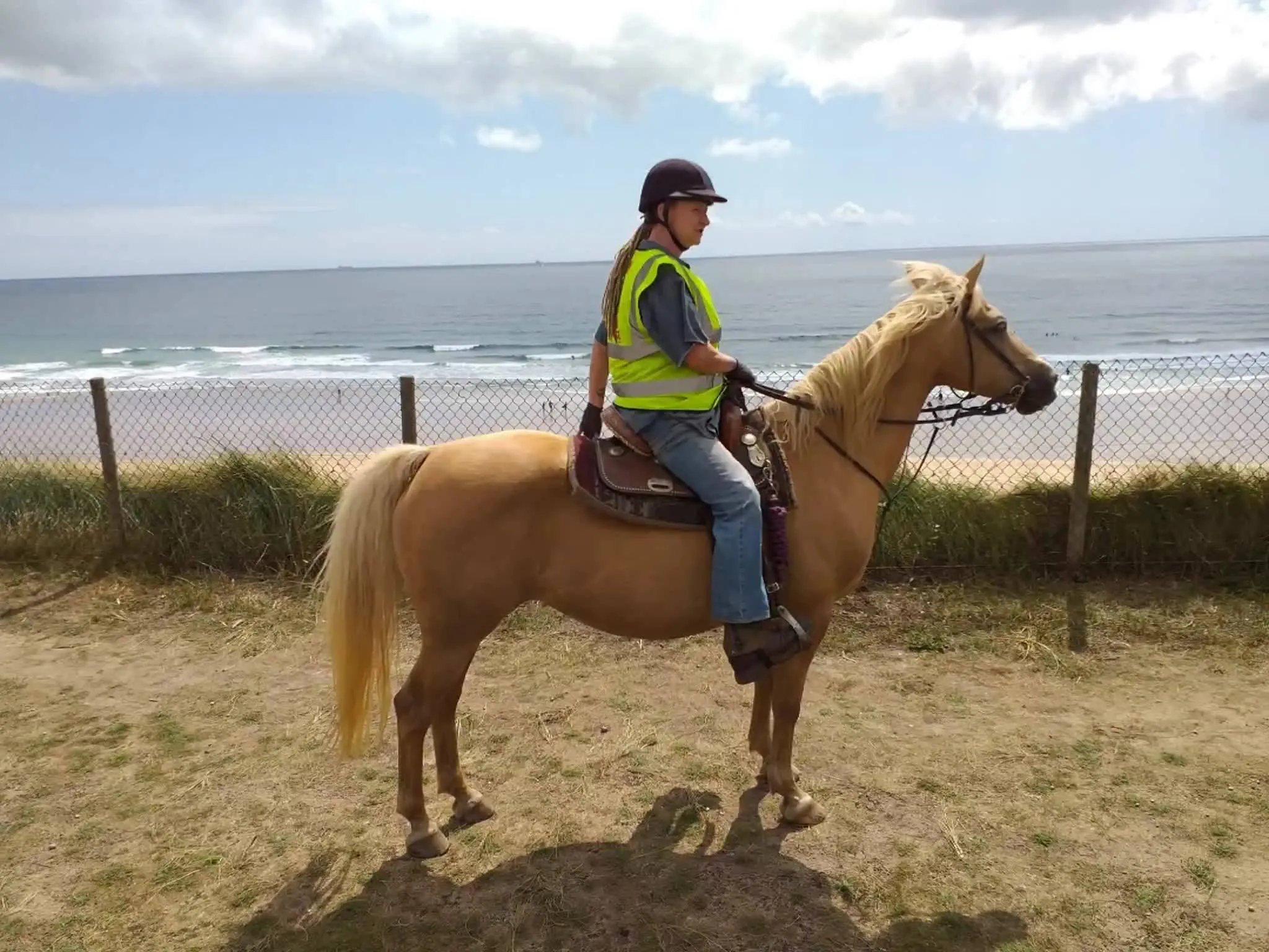 St Hilary Equine Centre