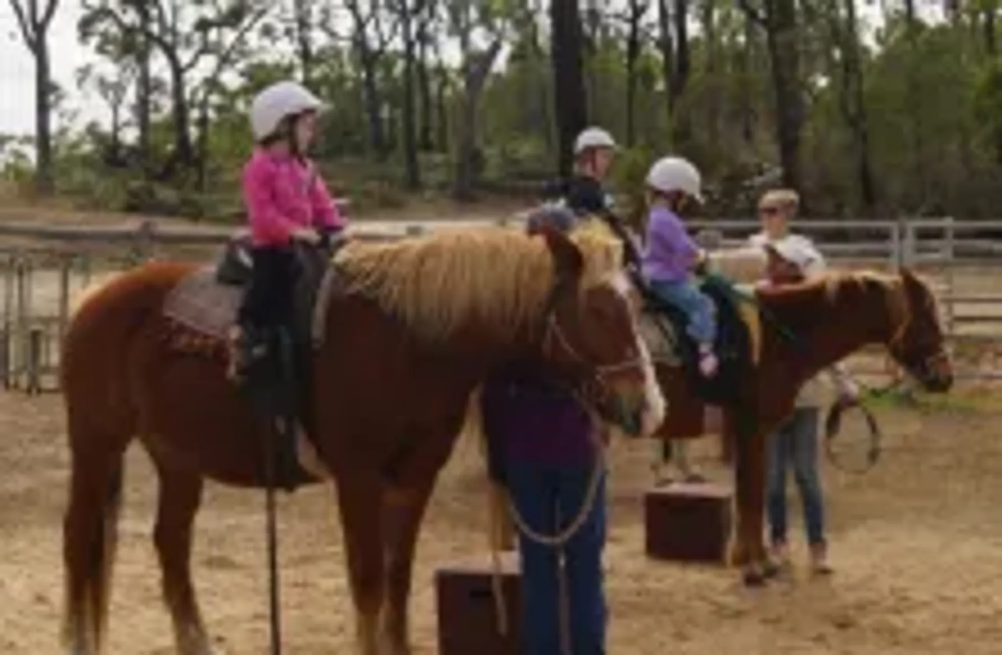 Capricorn Equestrian Centre