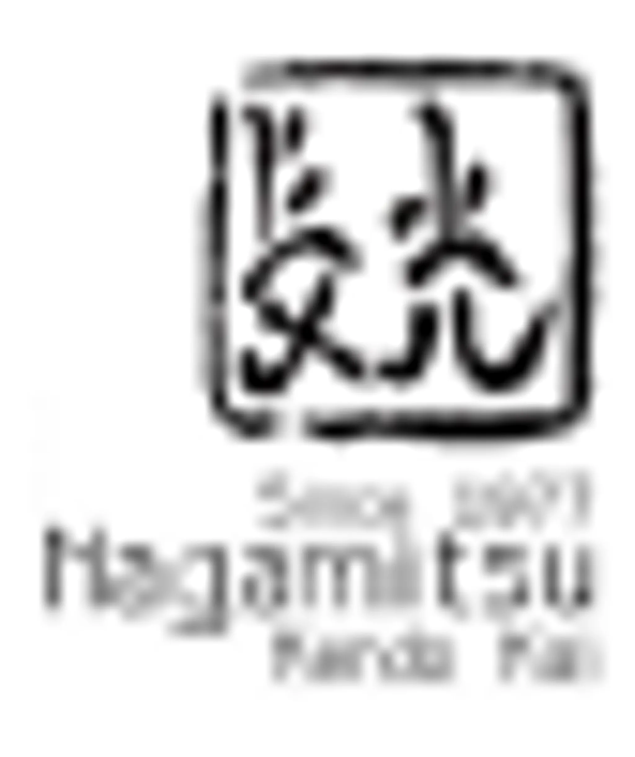 Nagamitsu Dojo, Birmingham Kendo Club