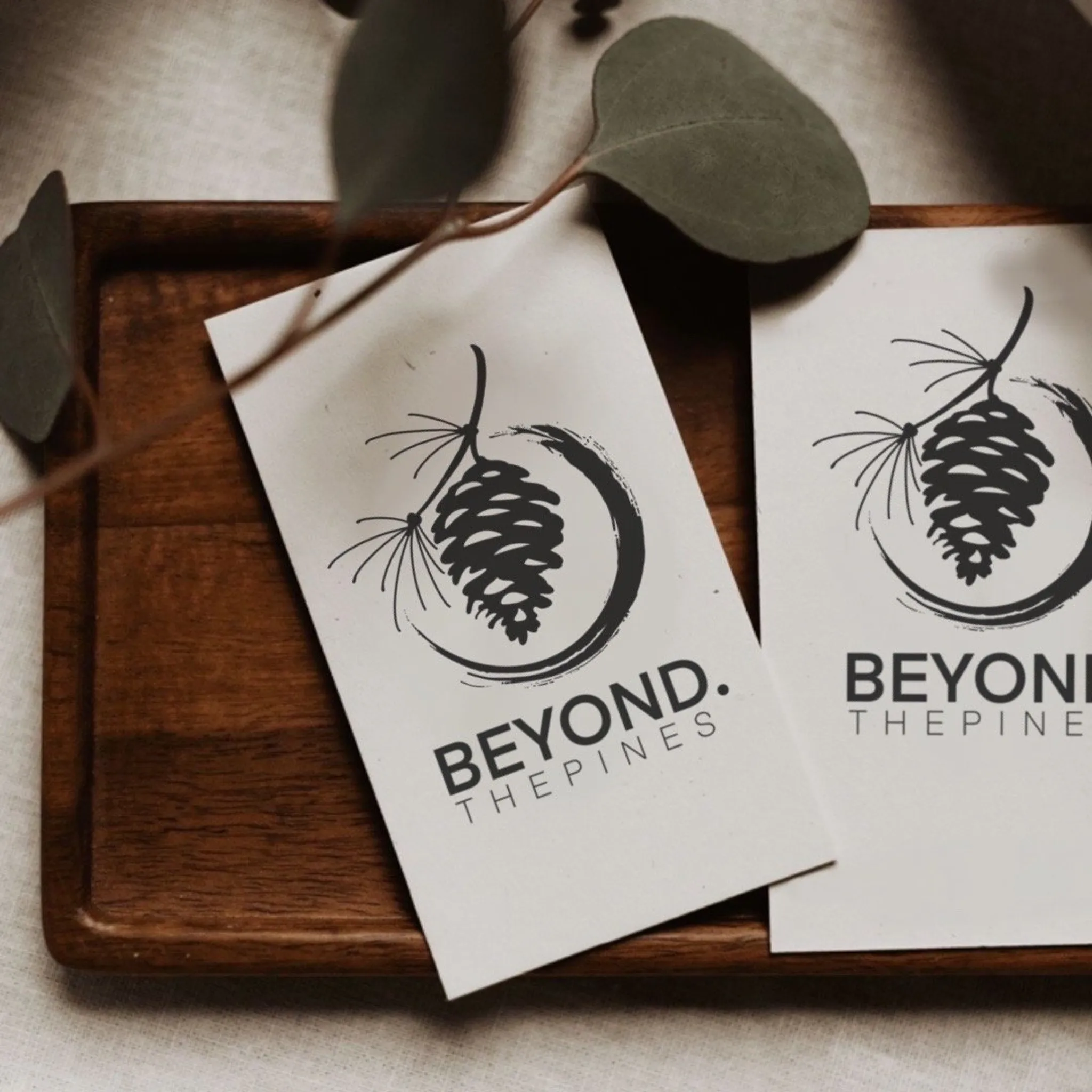 Beyond the pines studio