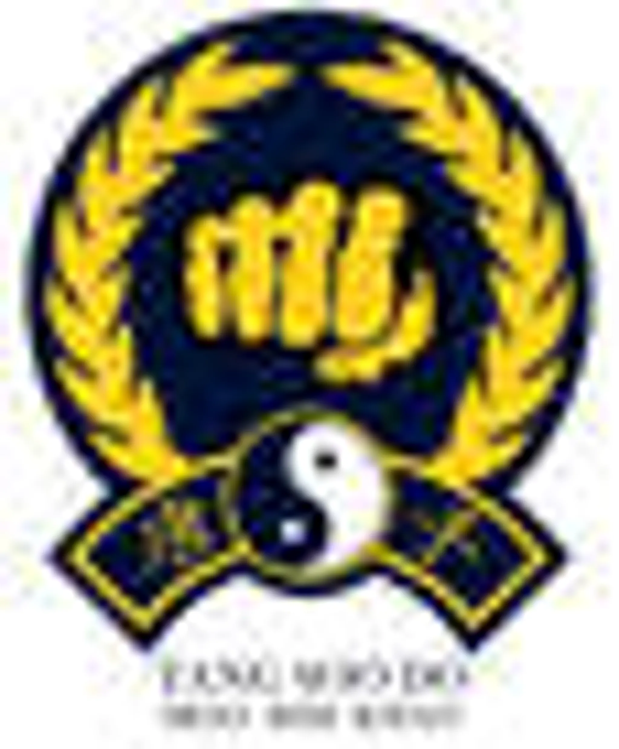 Karate Tang Soo Do Moo Rim Kwan