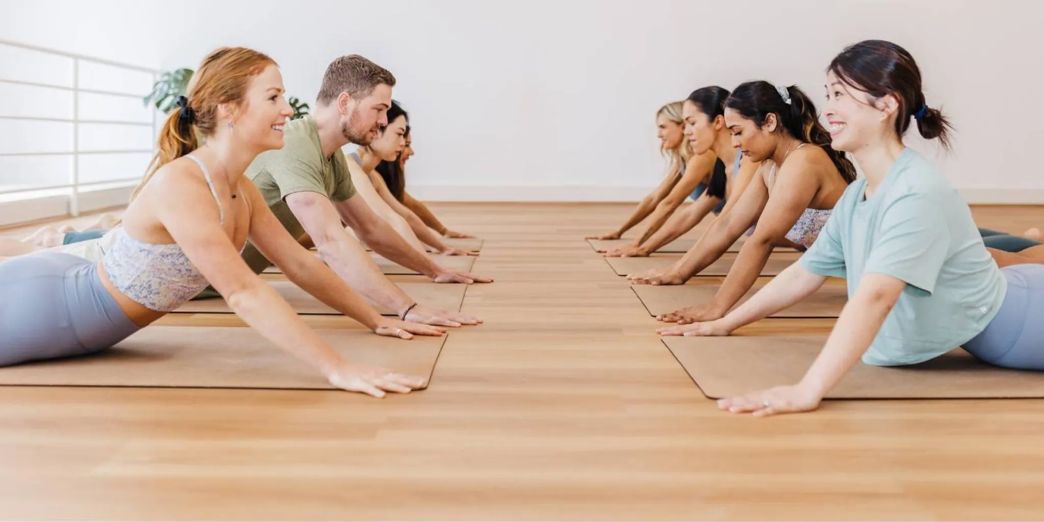 APPI Ante/Post Natal Pilates