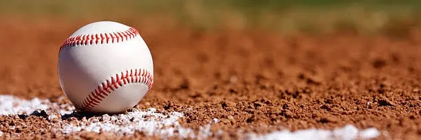 Winter Baseball Development Program Winter Baseball Development Program