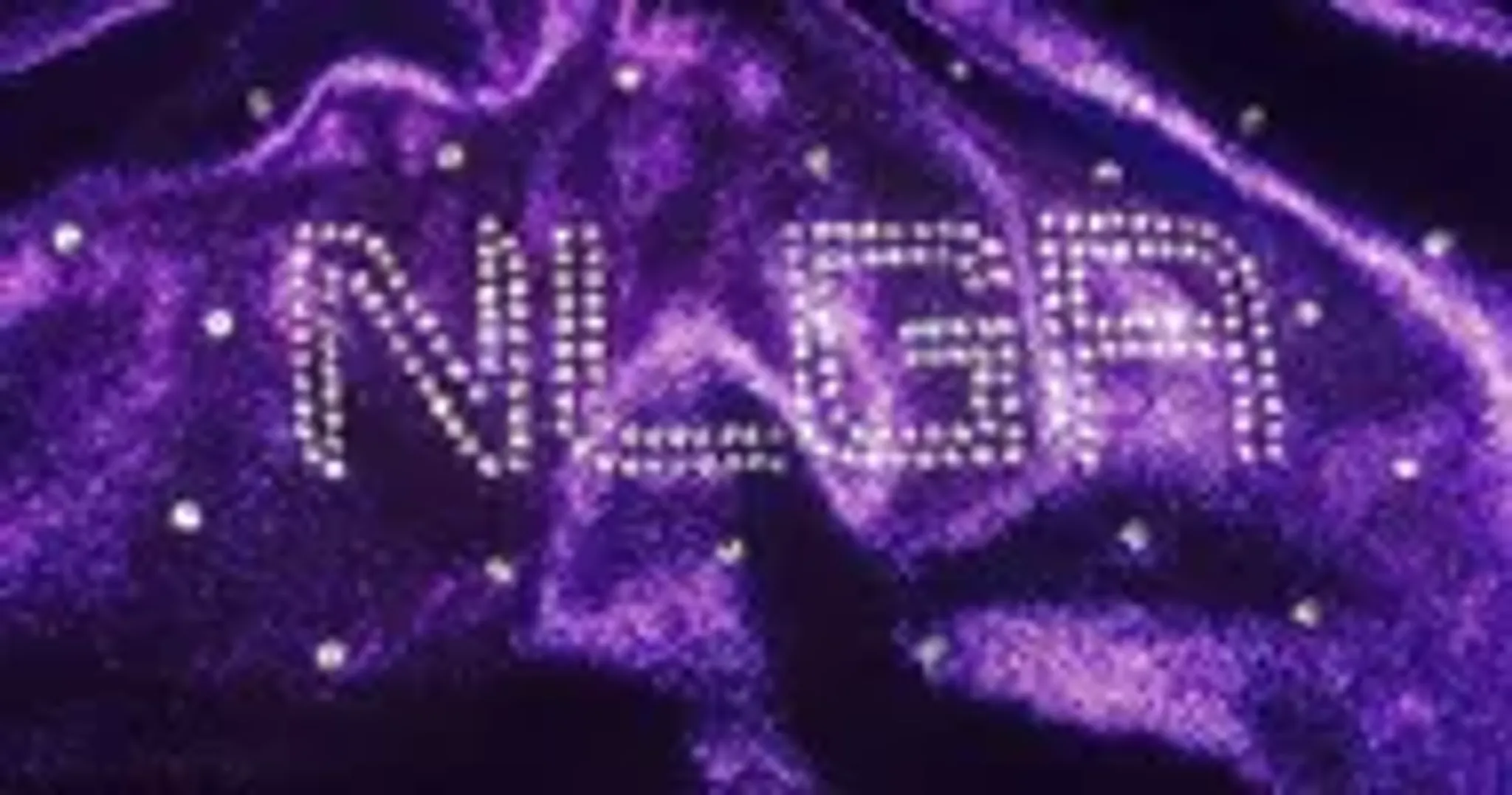 North Lakes Gymnastics Academy