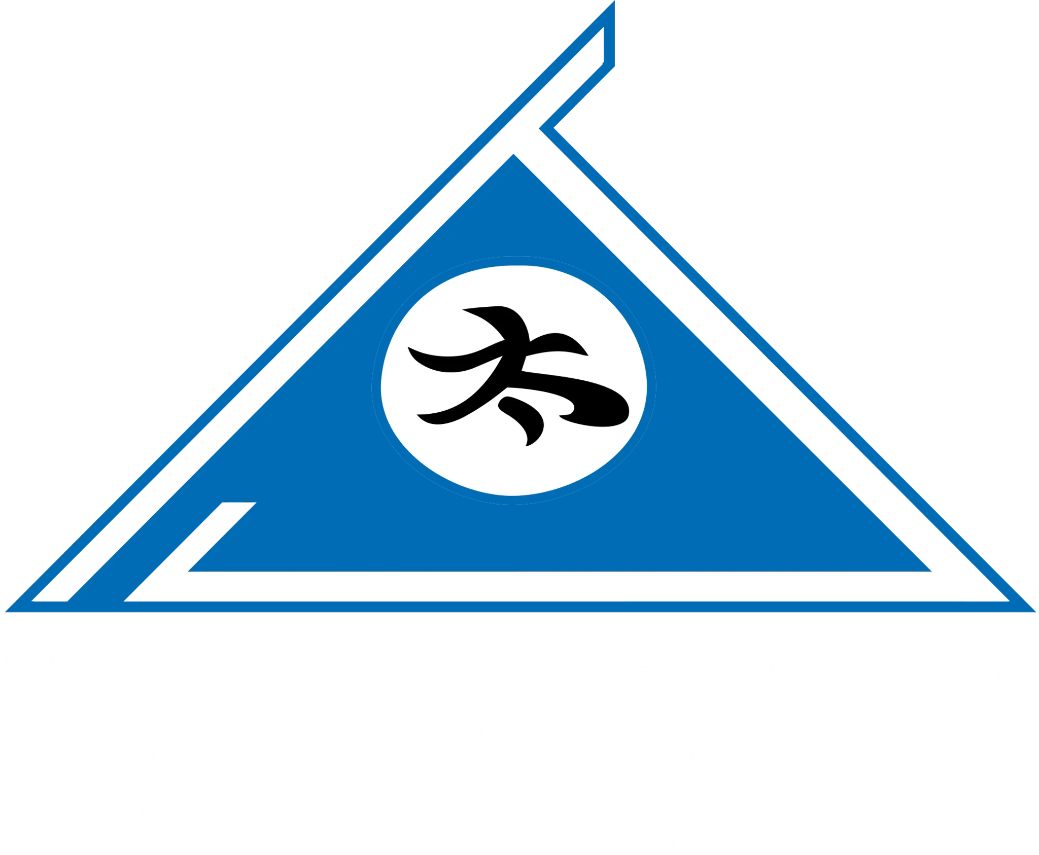 World Championship Martial Arts