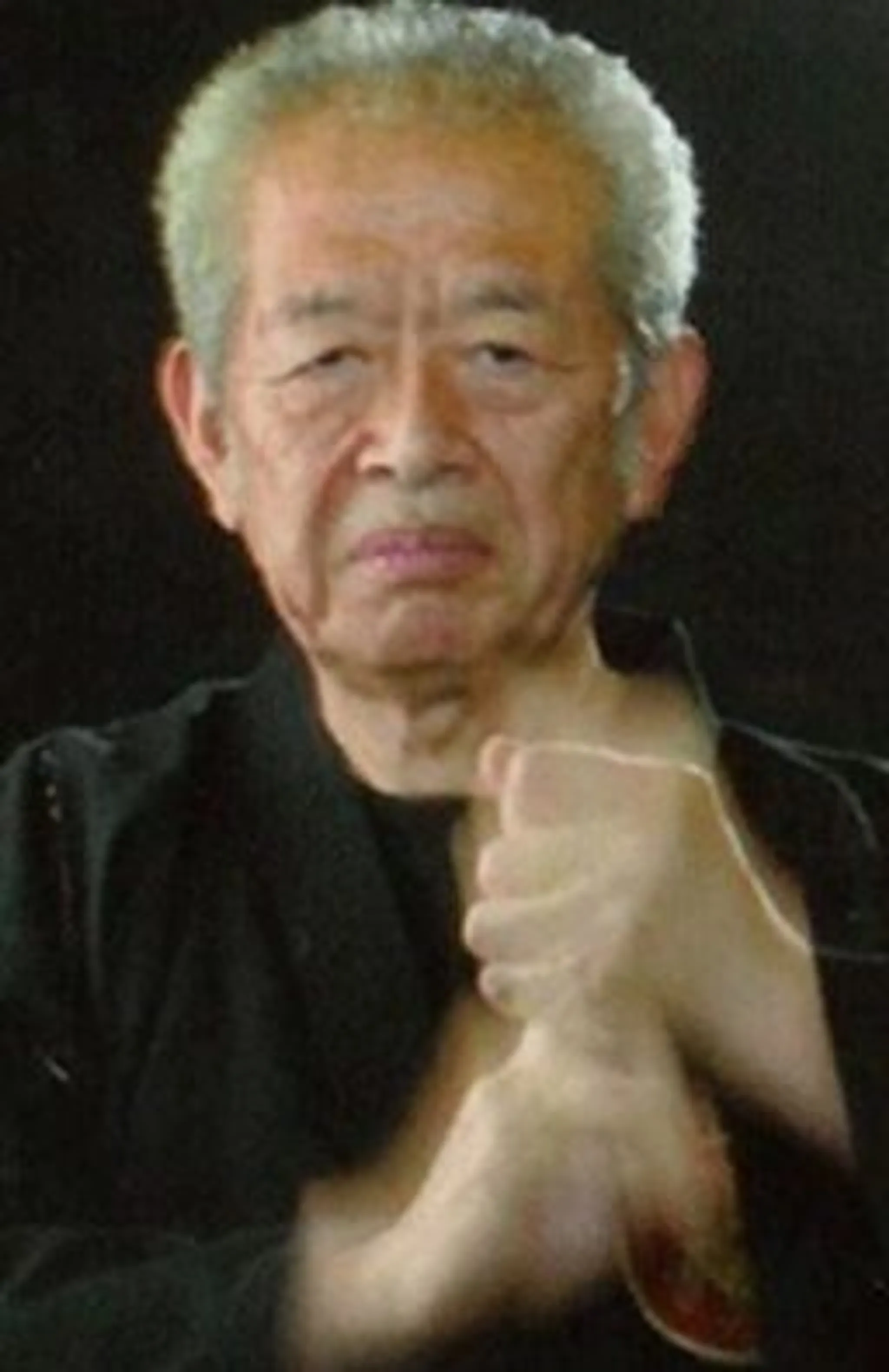 Shadow Warrior Bujinkan Dojo Kingston