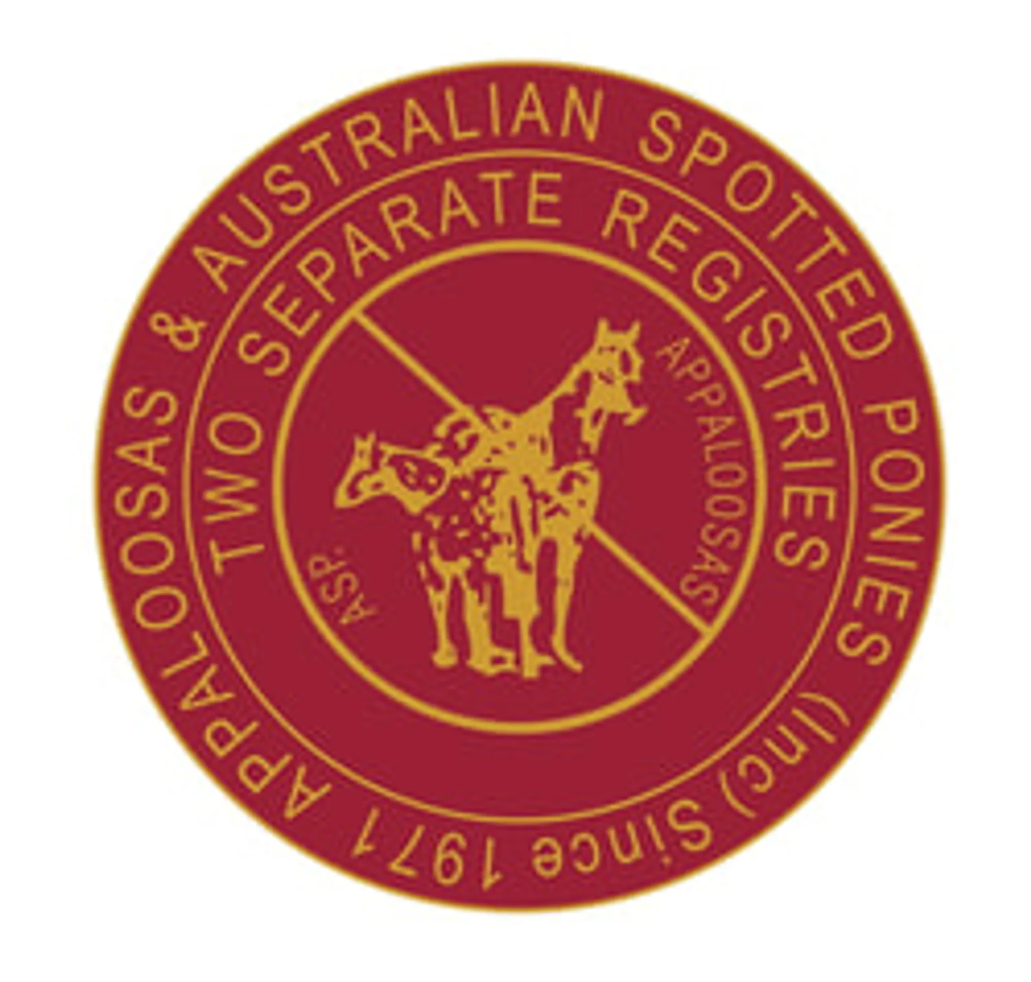 Appaloosas and Australian Spotted Ponies