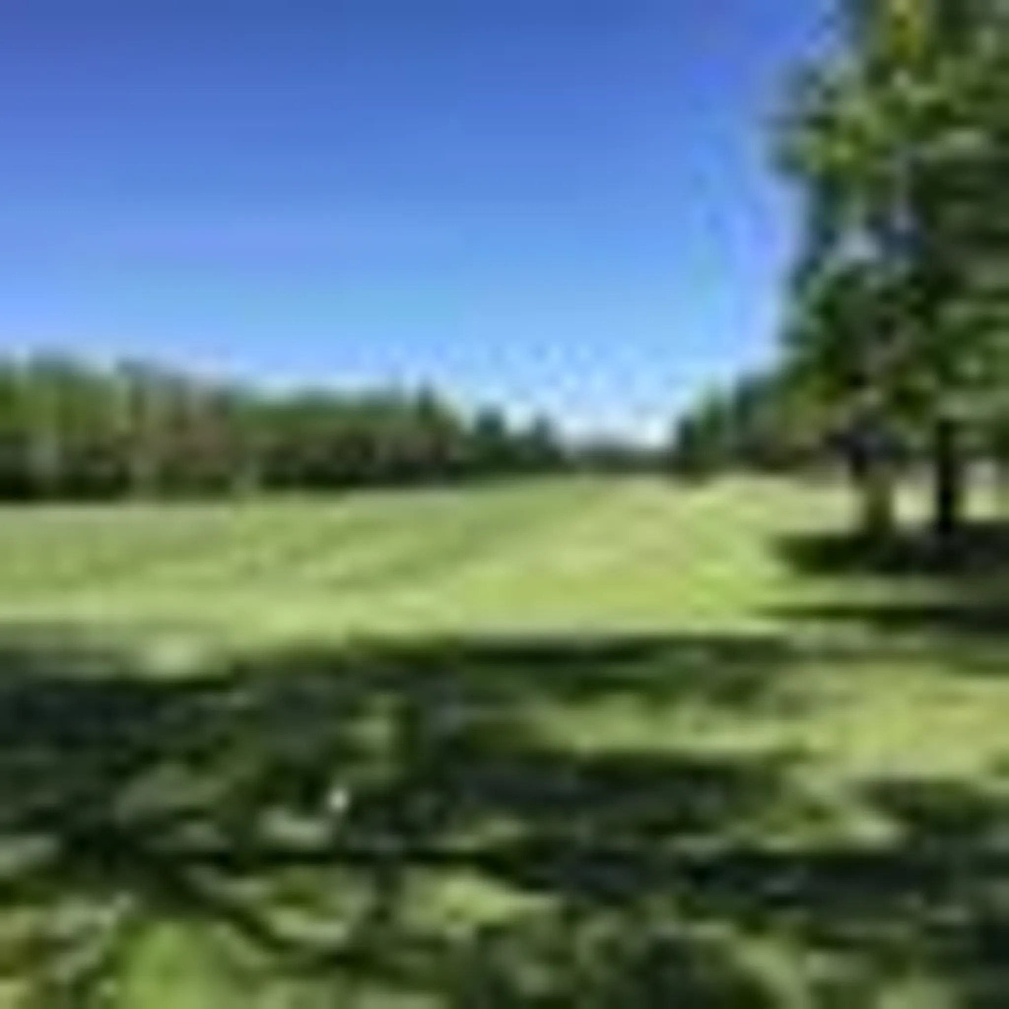 Dunnville Golf Club