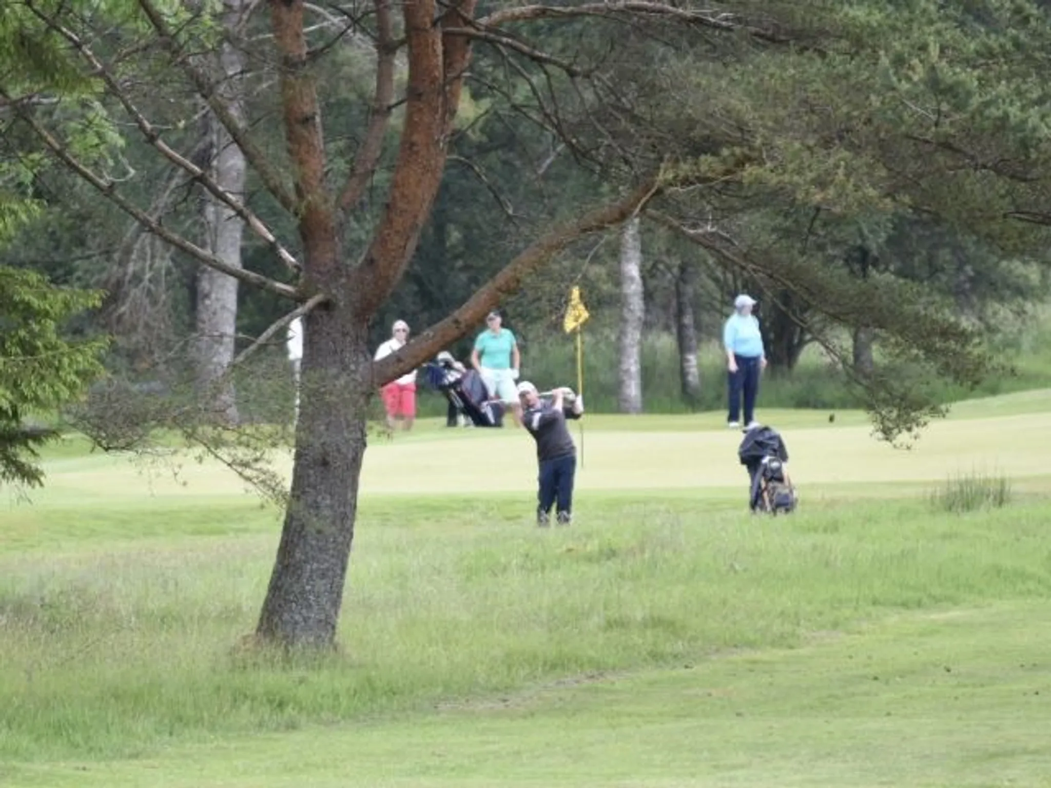 Gents Senior Open Texas Scramble
