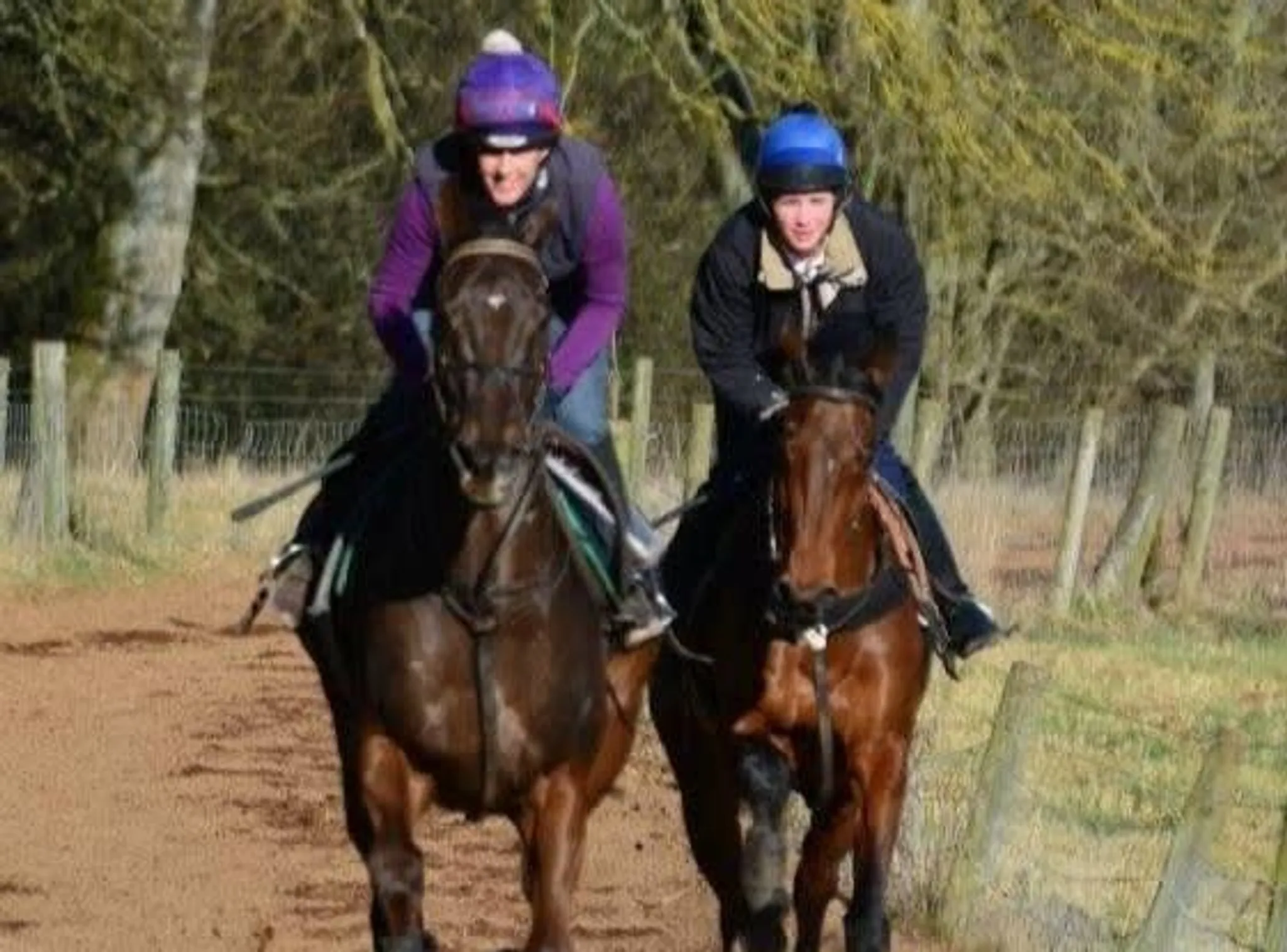Red Hill Farm Gallops