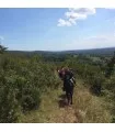 Cheval Bugey