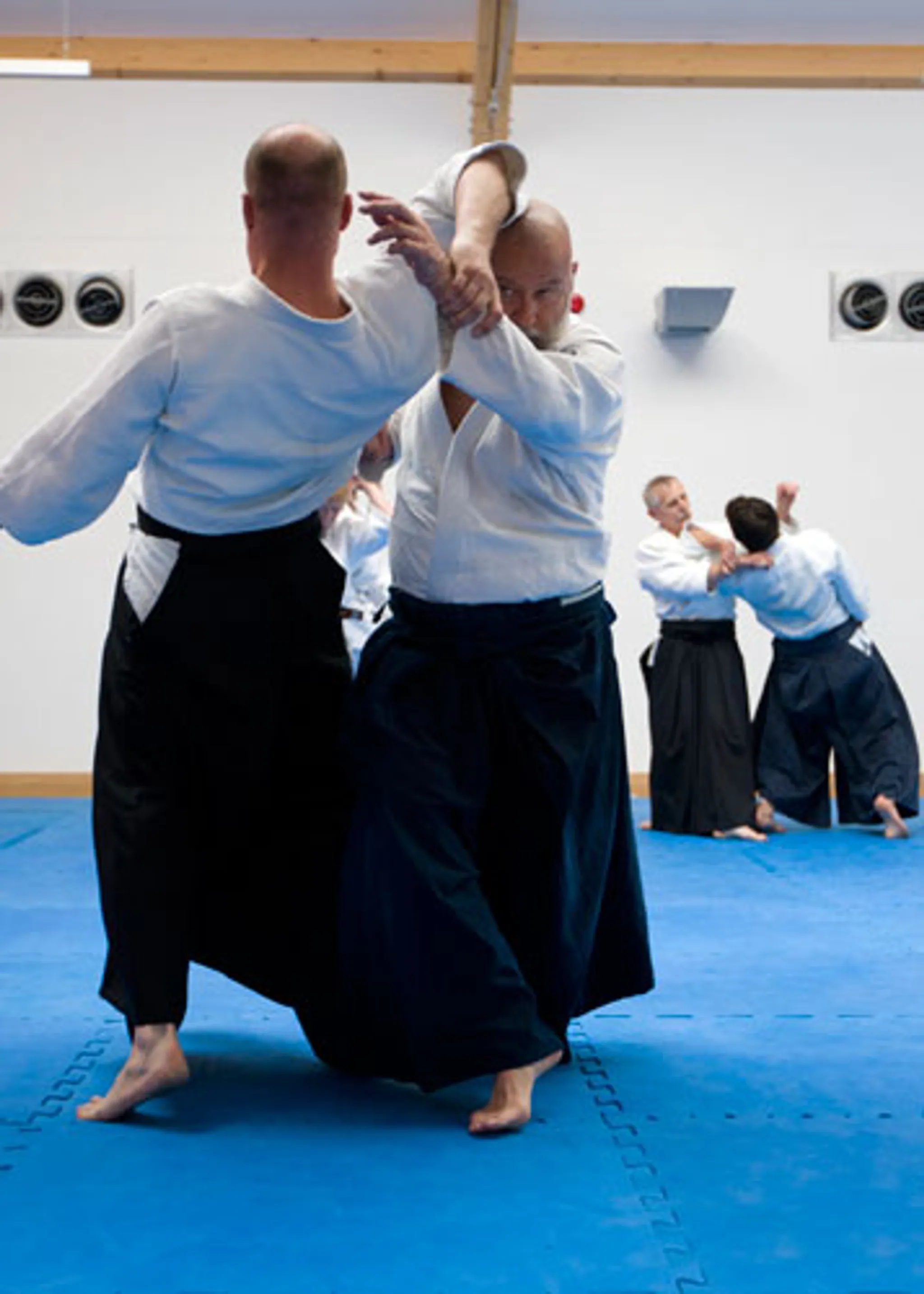 London East Aikikai Traditional Aikido
