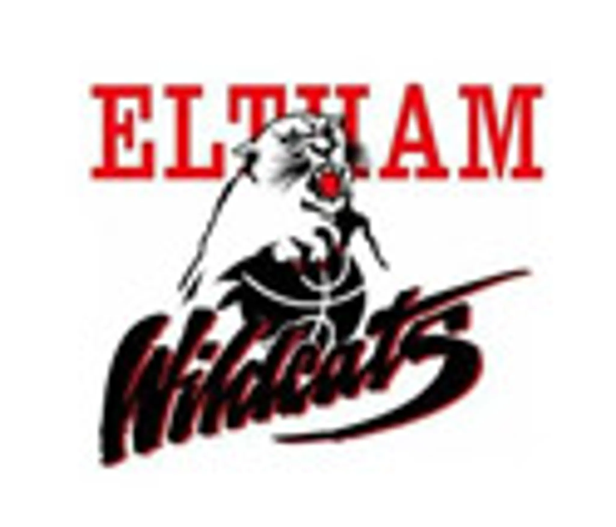 Eltham Wildcats Basketball Club